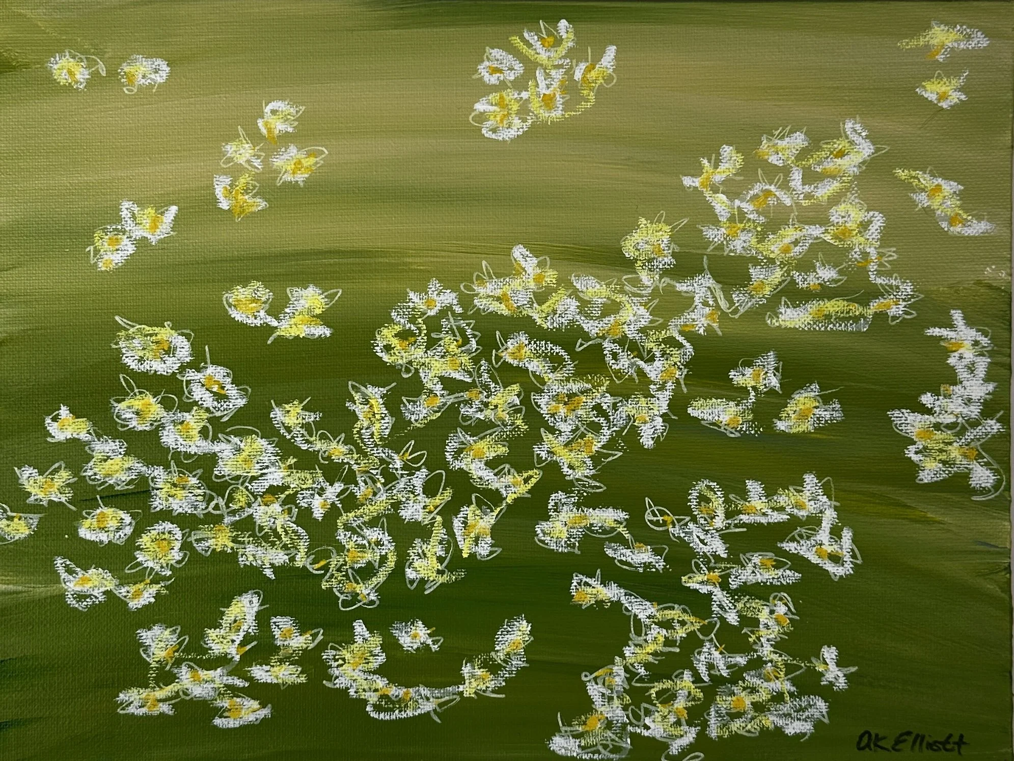 Swarm of small white, yellow, and black insects, possibly bees, on a green leaf.