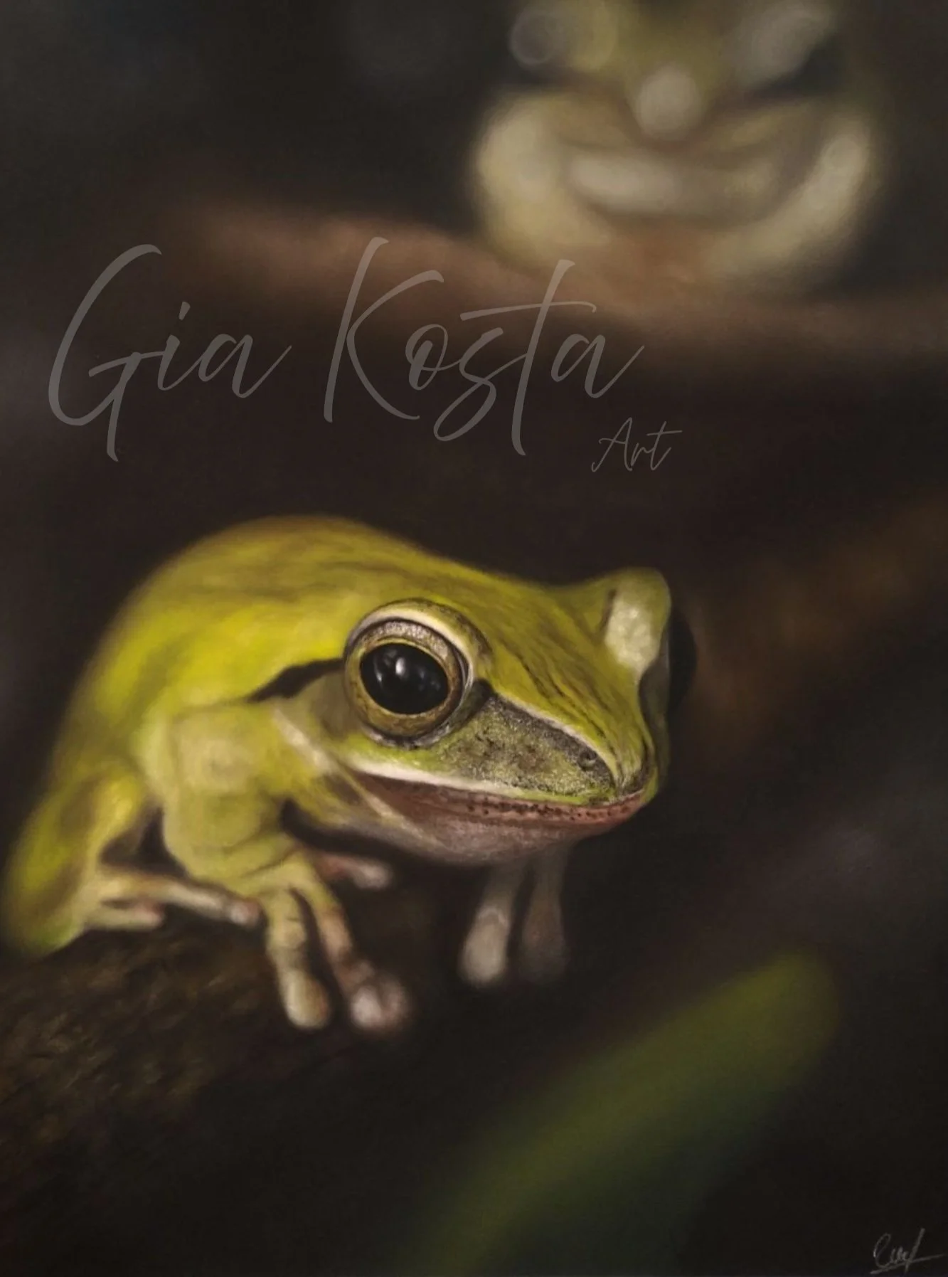 #frogs #frogart #pasteldrawing #pastelart #softpastels #animalart #wildlifeart #cuteanimals❤️ #realisticdrawing #pastelartist #artprocess #creativeprocess #drawingreels #instaartwork