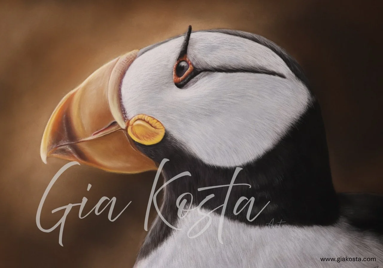 The warm colors give the bird a natural sense of depth. I used pastel to bring out the soft transitions and the texture of the feathers without adding unnecessary effects. Just clean form, color, and calmness.🌿
#warmcolors #birdart #pasteldrawing🖌️