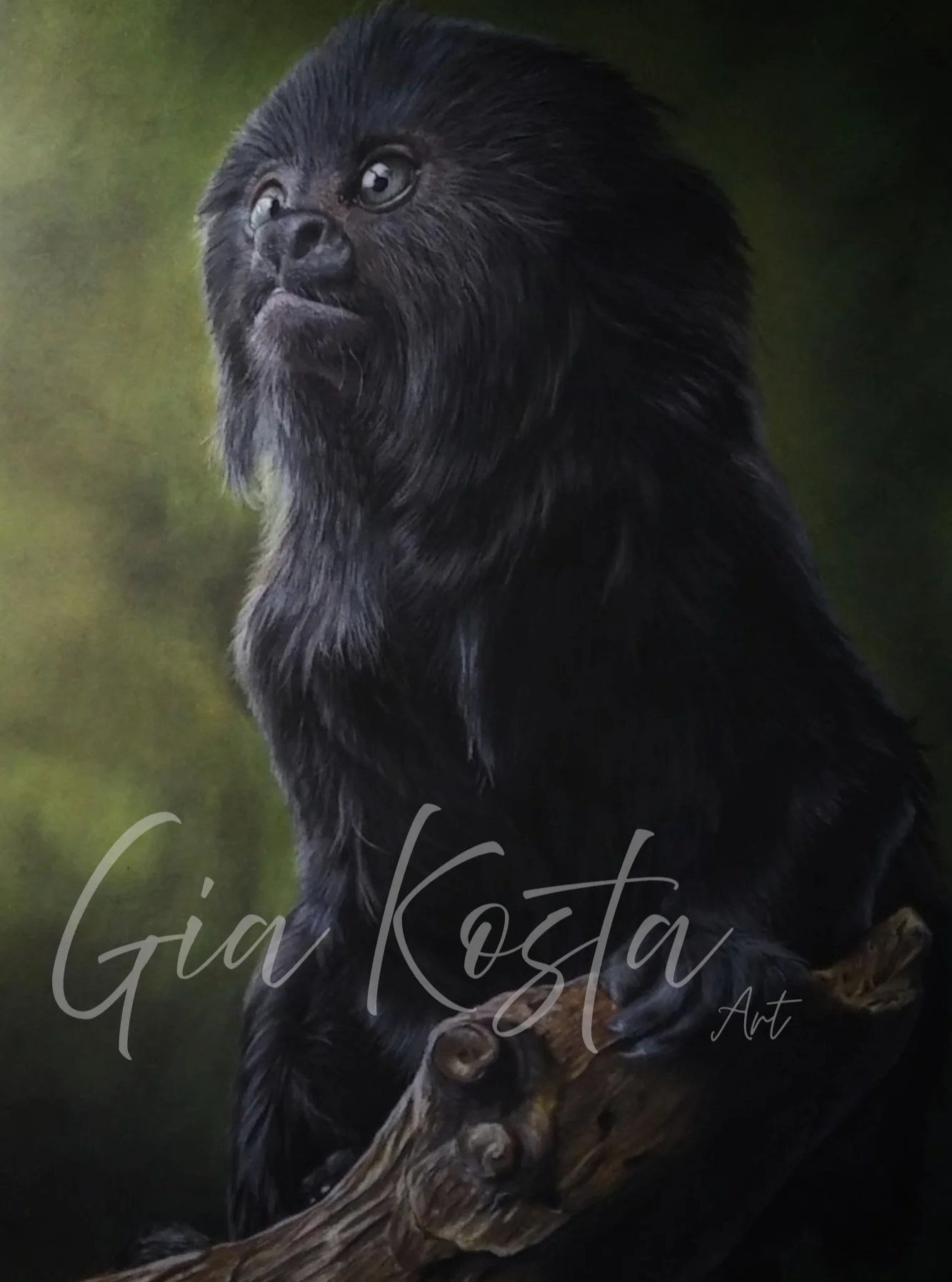 #marmoset #marmosetart #monkeyart #pasteldrawing #pastelart #softpastels #animalart #wildlifeart #realisticdrawing #pastelartist #artprocess #drawingreels #instaartwork #creativeprocess #cuteanimals 🌿