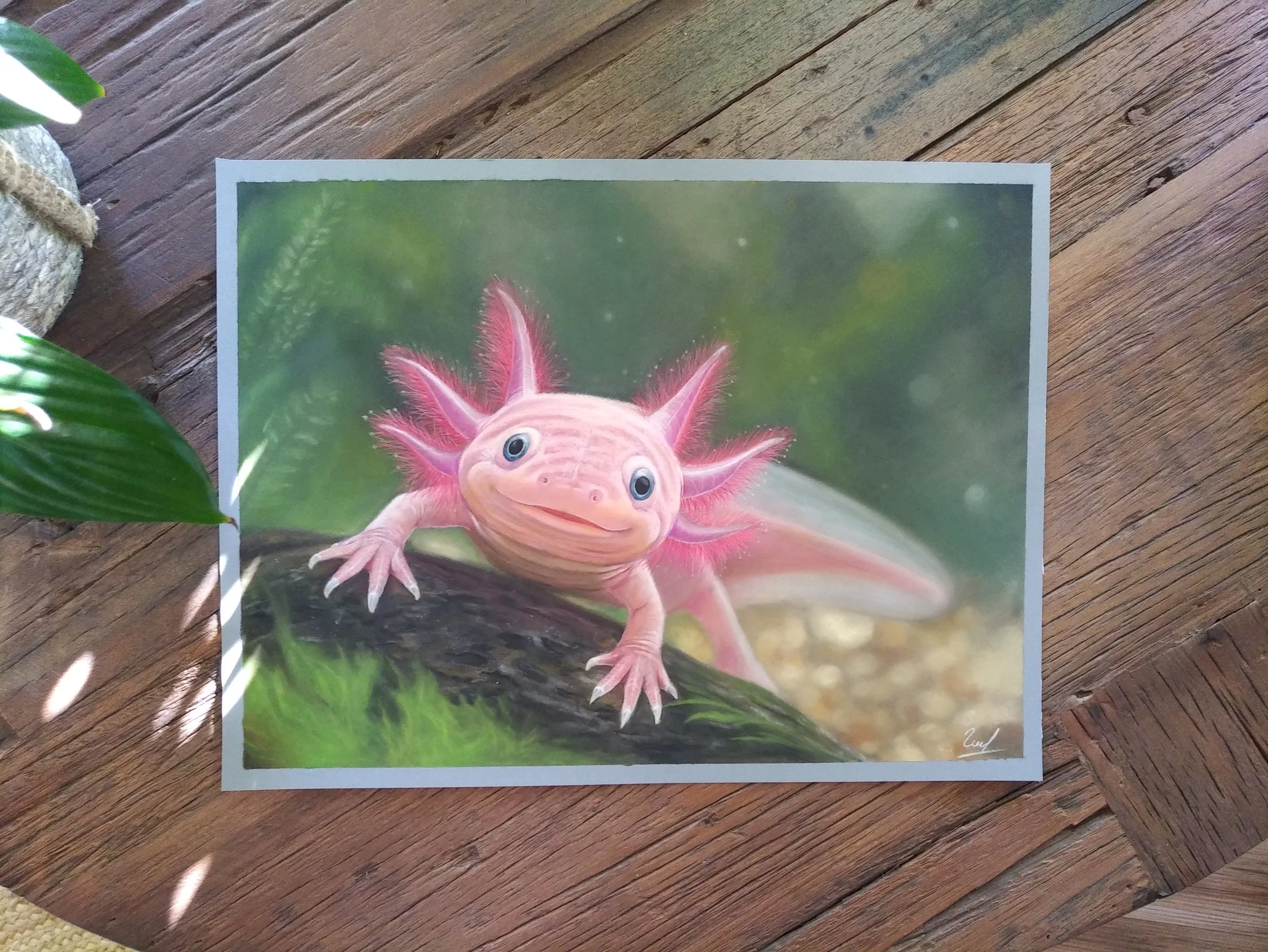 #salamanderart #pinkart #pastelart #animalillustration #natureillustration #creatureart #animaldrawing #pasteldrawing #ıllustrationartists #traditionalart #drawingtutorial #illustration #artwork🎨#artinspiration #natureart #cuteart #pinkillustration 