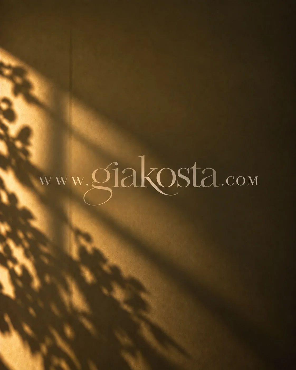 Hello everyone, 
I&rsquo;m happy to share the new version of my website with you. 
My website has been given a completely new look &mdash; a space that feels much closer to my work and the world that inspires it. 

You can explore my available origin