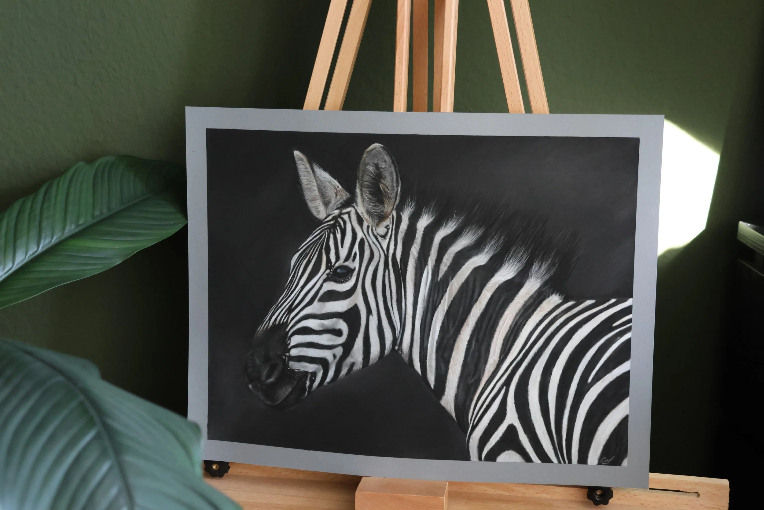 #zebraart #zebra #pastelart #pasteldrawing #softpastels #pastelpainting #animalart #wildlifeart #animalpainting #artwork #artistsoninstagram #instaart #artoﬁnstagram #fineart #drawing #handmadeart #originalartwork #colorfulart #natureart #wildlifeart