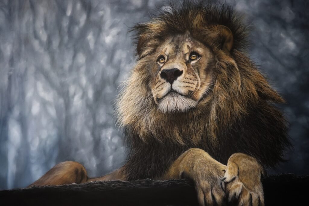 A majestic lion with a thick mane lying on a rocky surface with a blurred background.