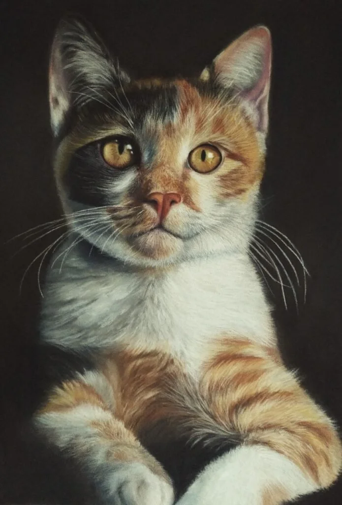Close-up of a calico cat with amber eyes and a pink nose.