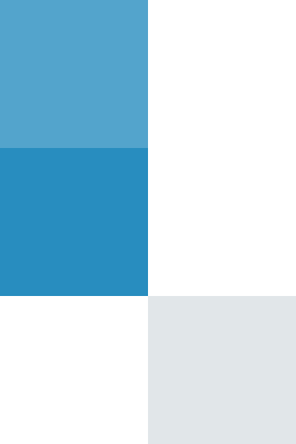 A color palette with four shades of blue and white, arranged in a grid.