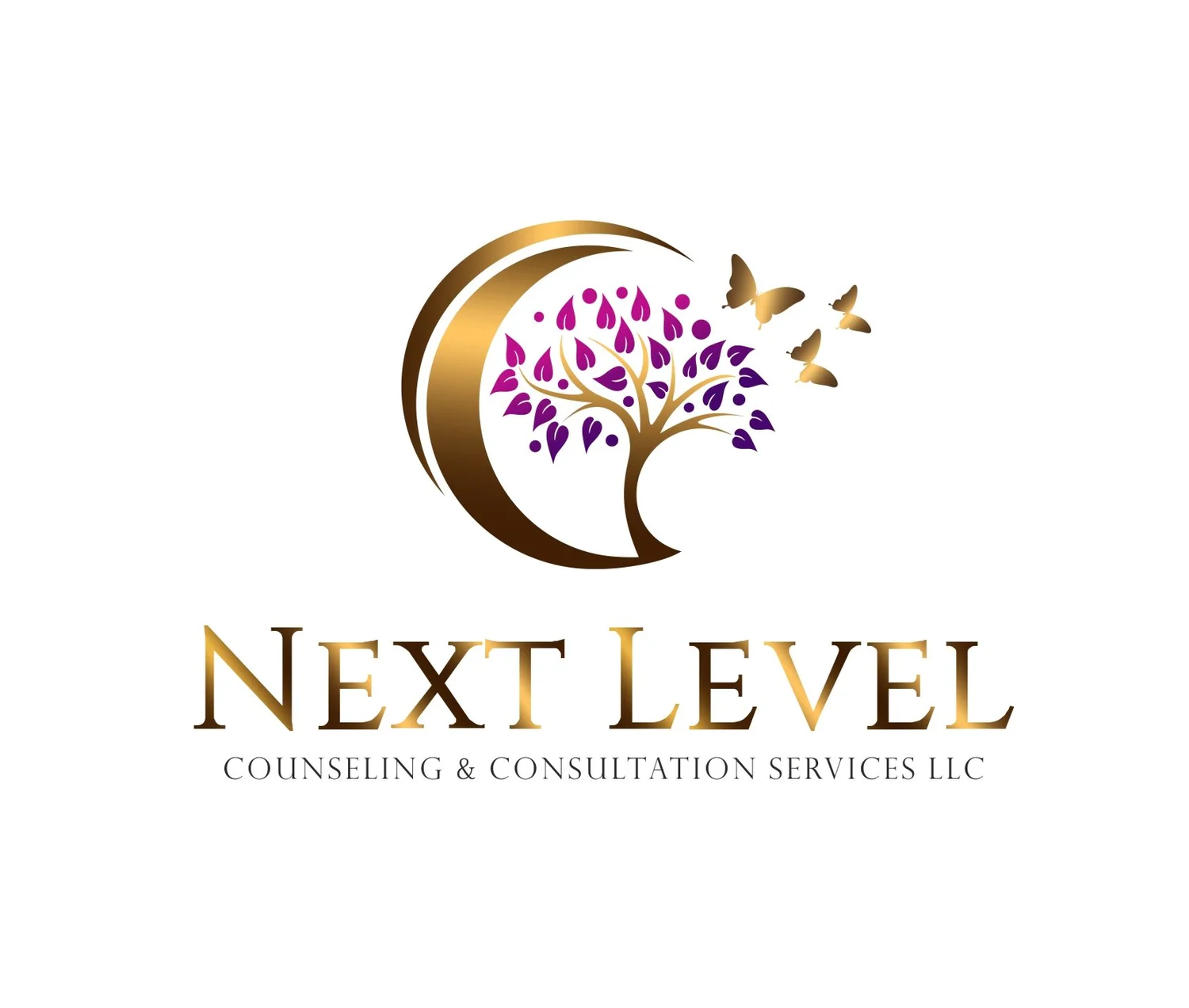 Next Level Counseling &amp; Consultation Services, LLC