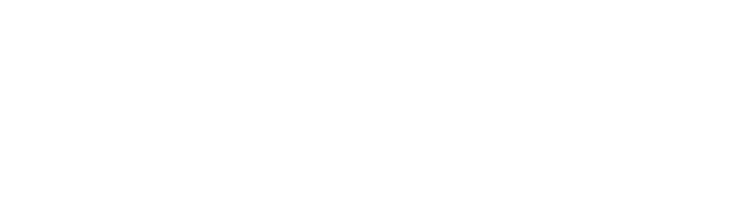 Sigma Drone Services