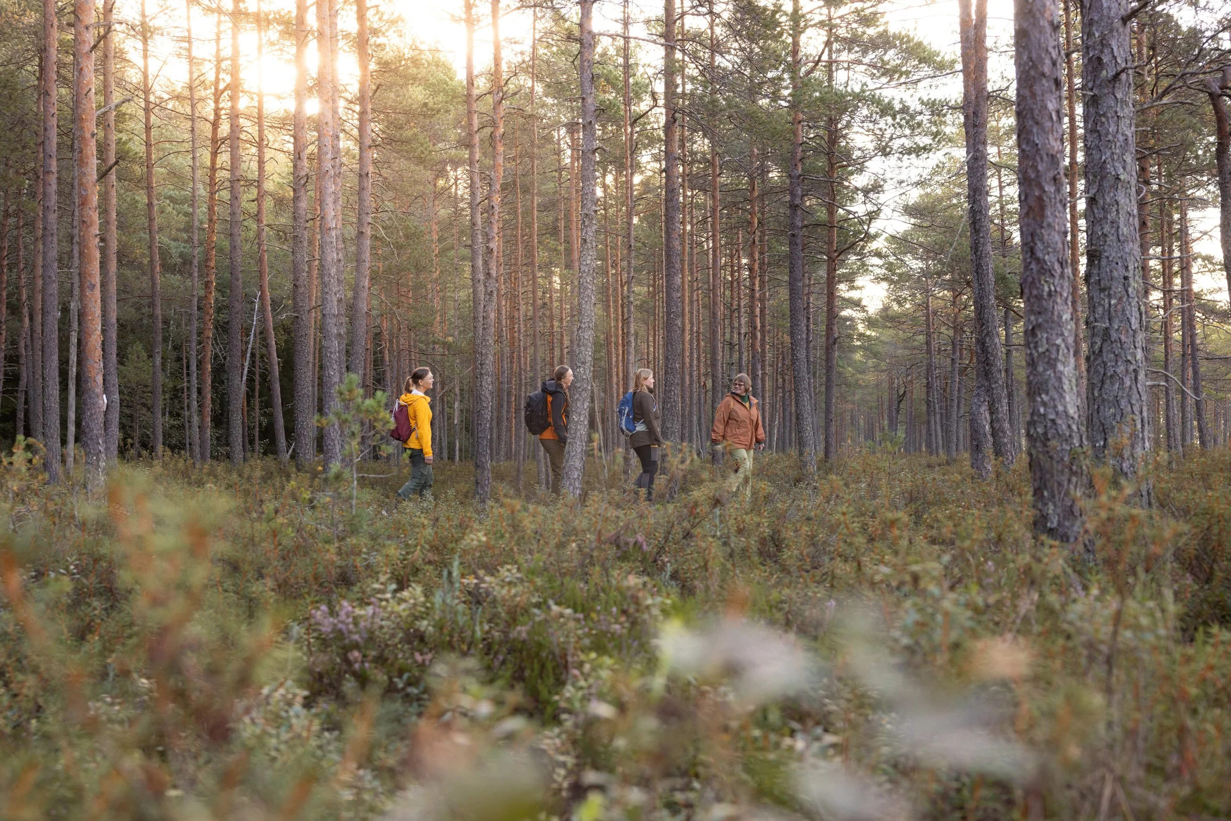 Finland (1).jpg