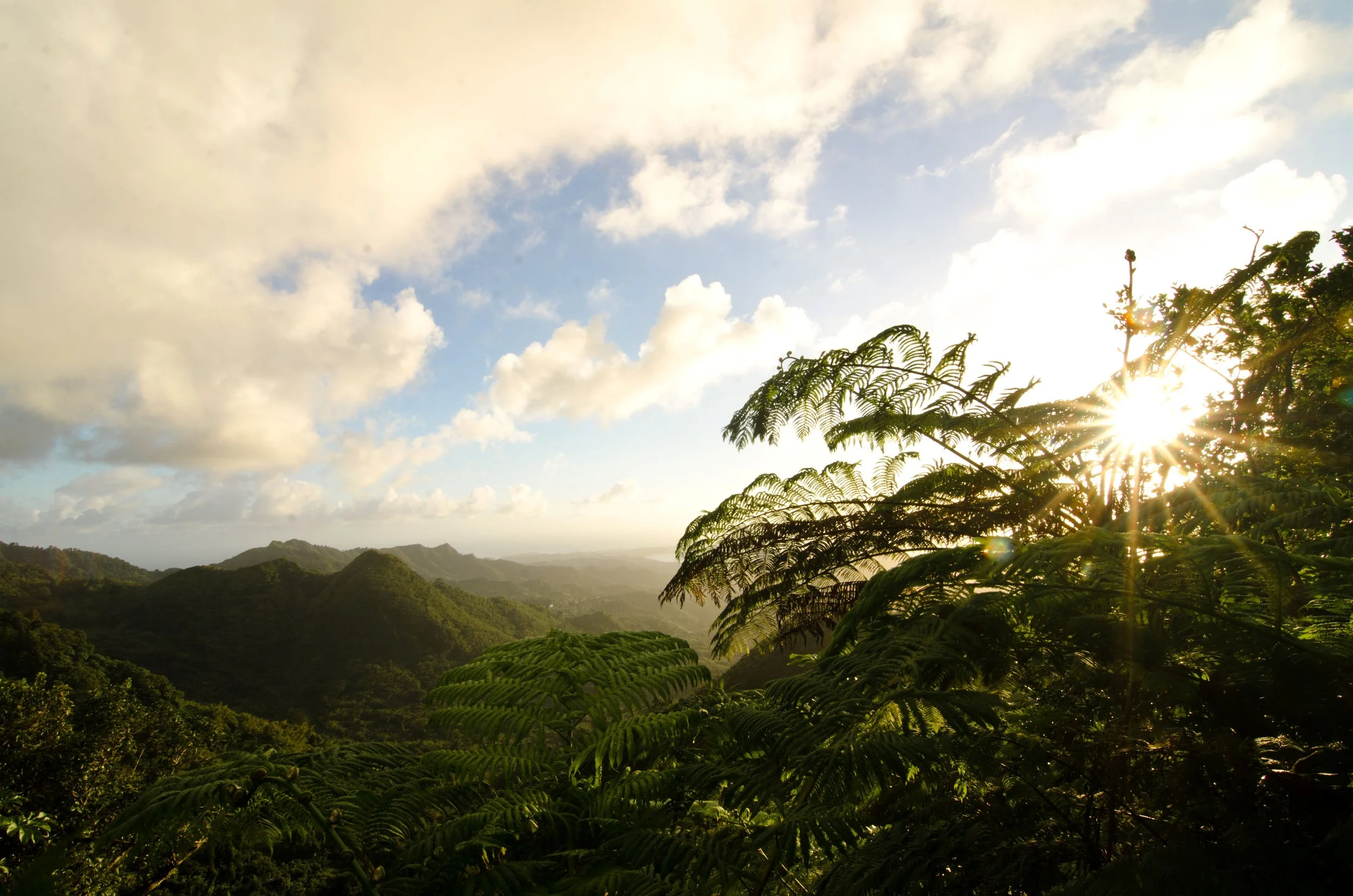 Grenada (2).jpg
