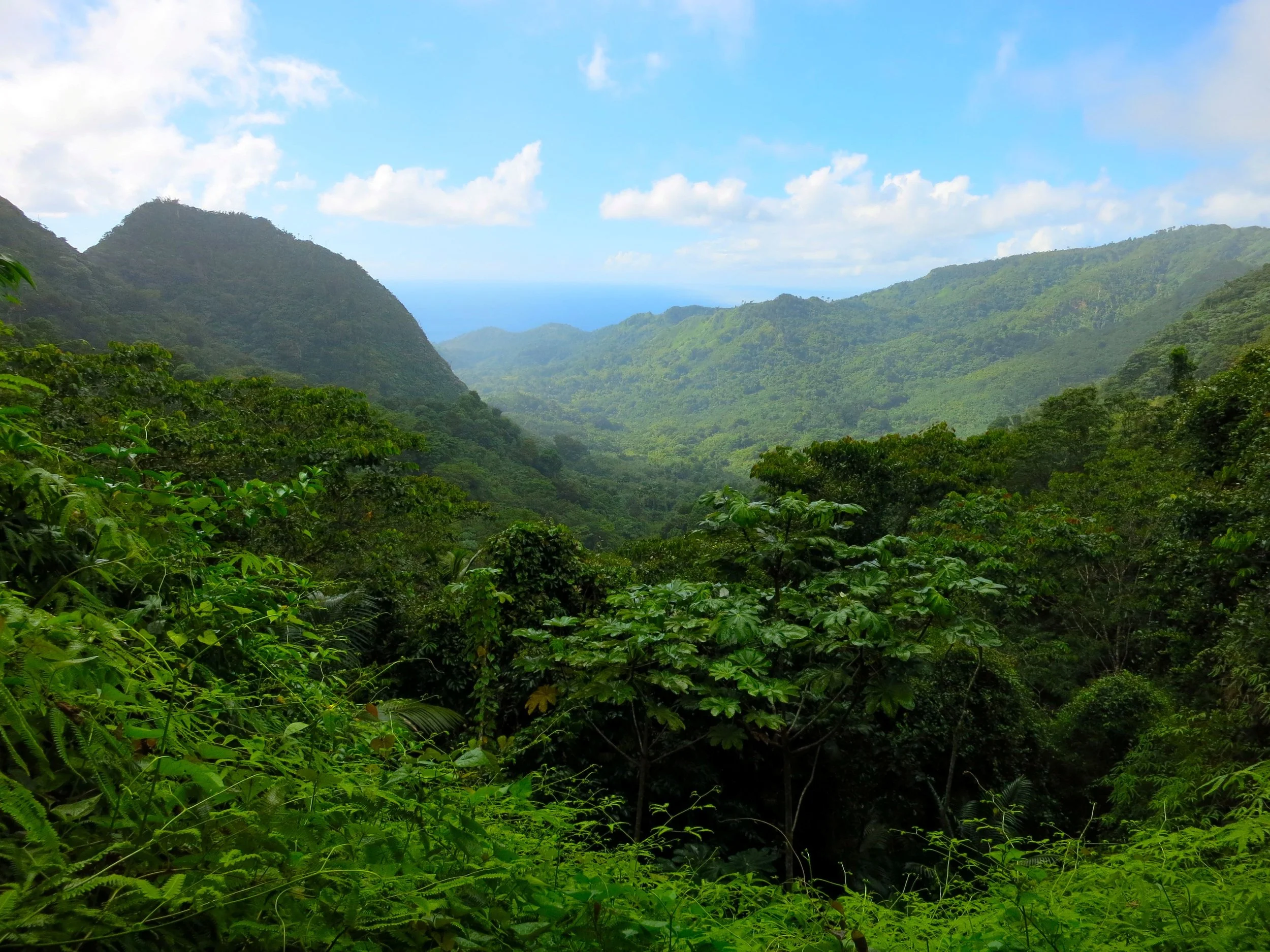 Grenada (1).jpg