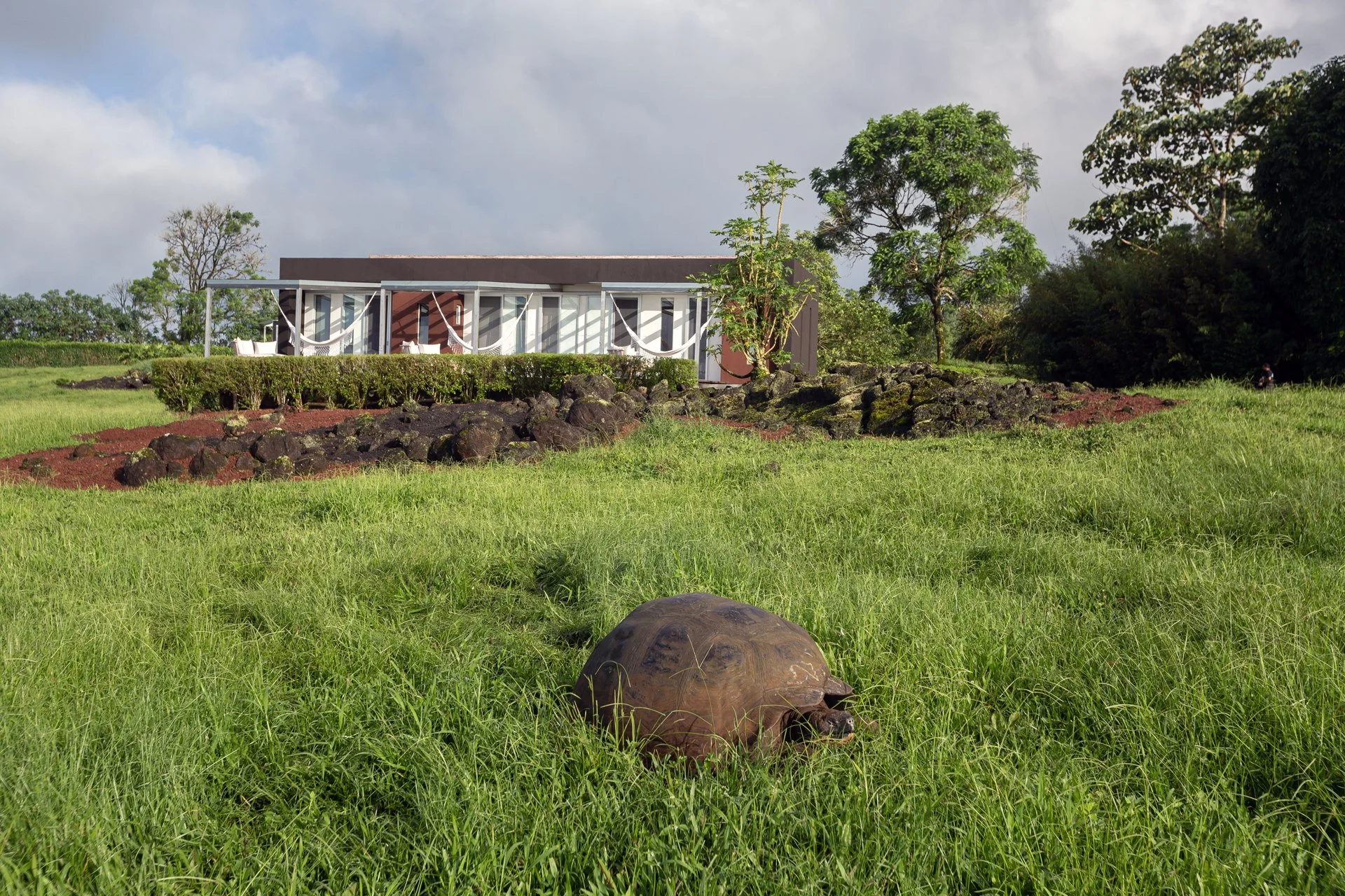 With Galápagos Visitor Numbers Up 138% in Two Decades, Is There a Better Way to Visit?