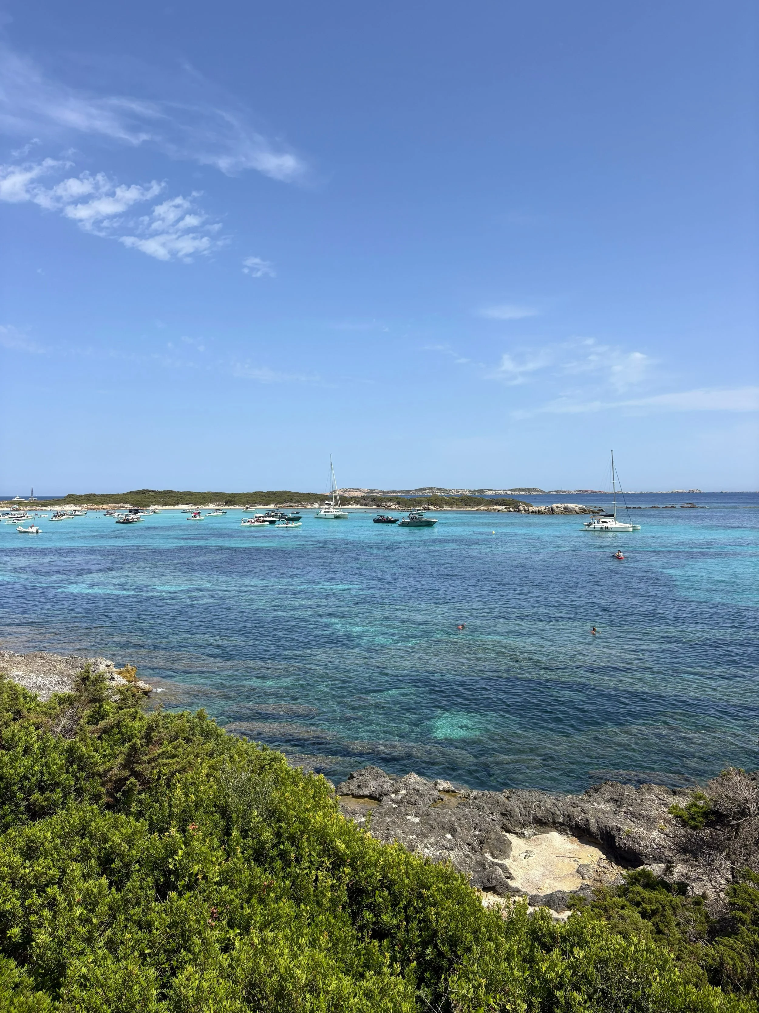 Corsica (1).jpg