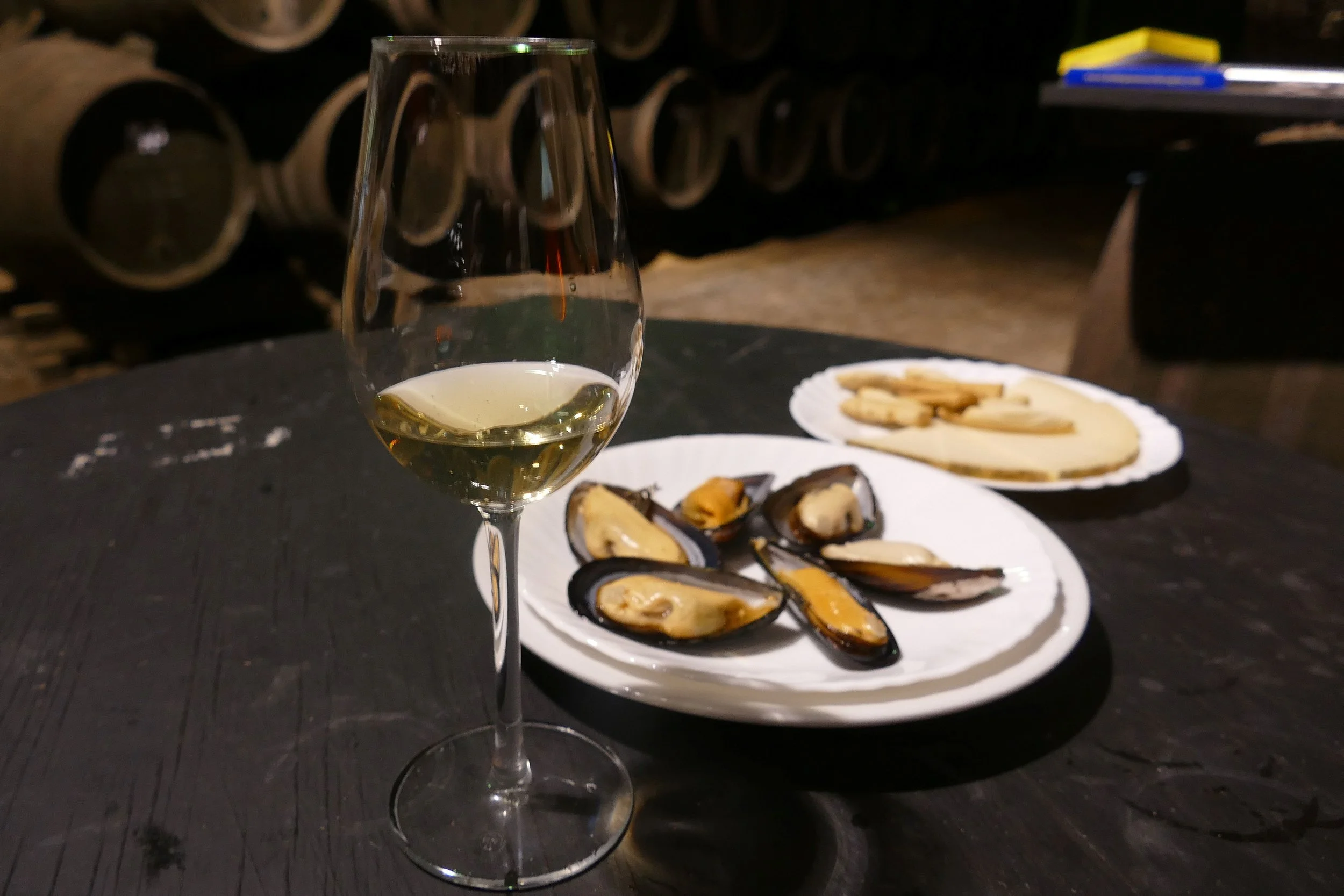spain andalucia sherry bodega manuel aragon sarah pura aventura 11.JPG