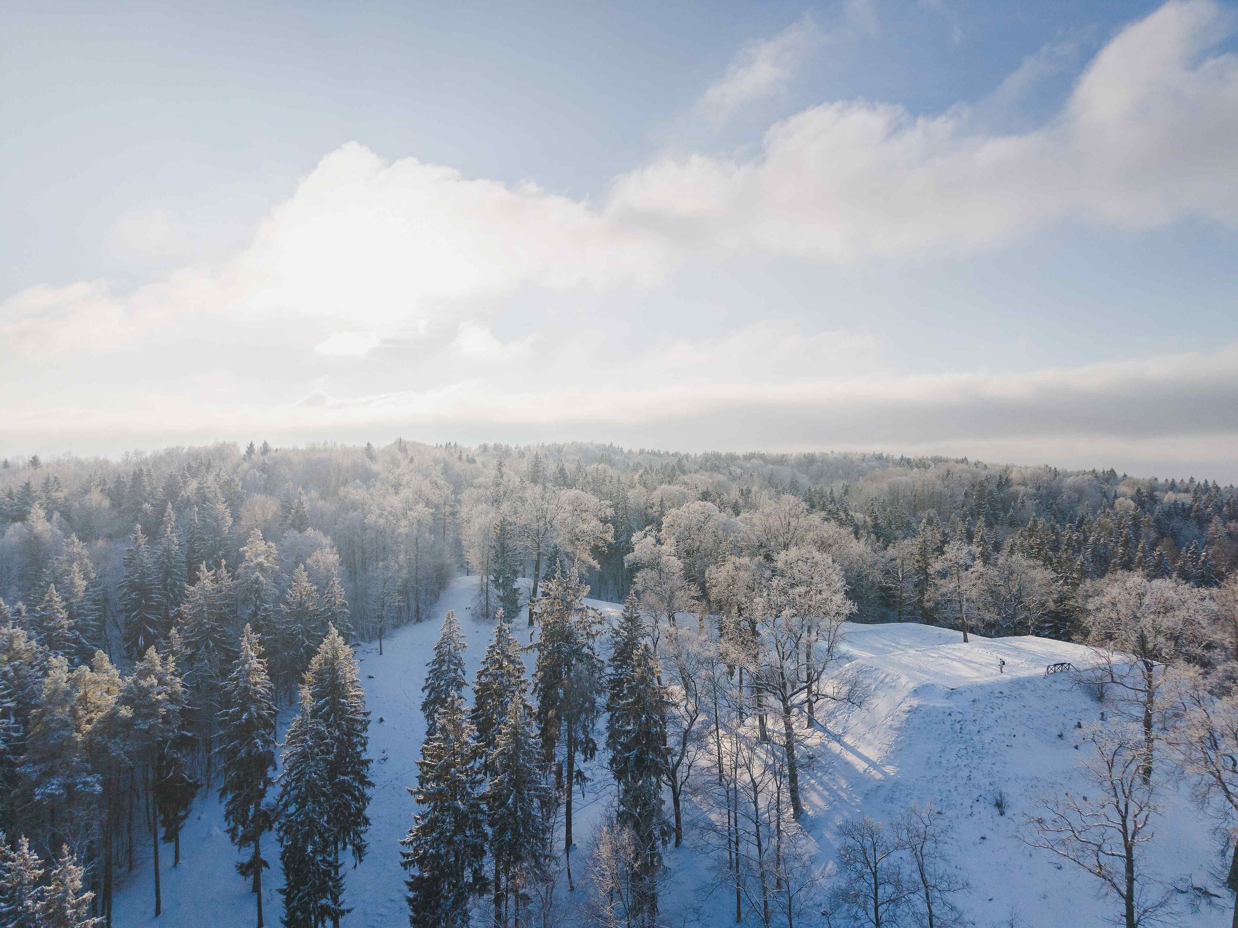 Endless Trails: Discover Lithuania’s Wild Side on Foot