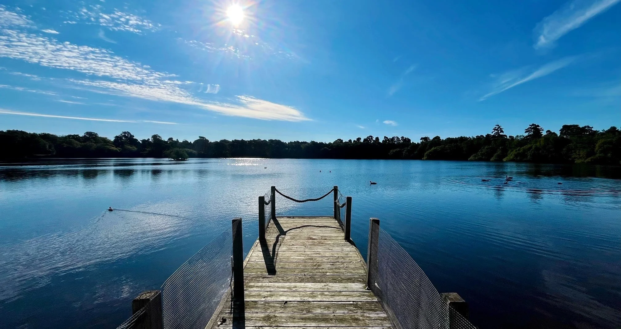 A Blissful Escape at Champneys Forest Mere