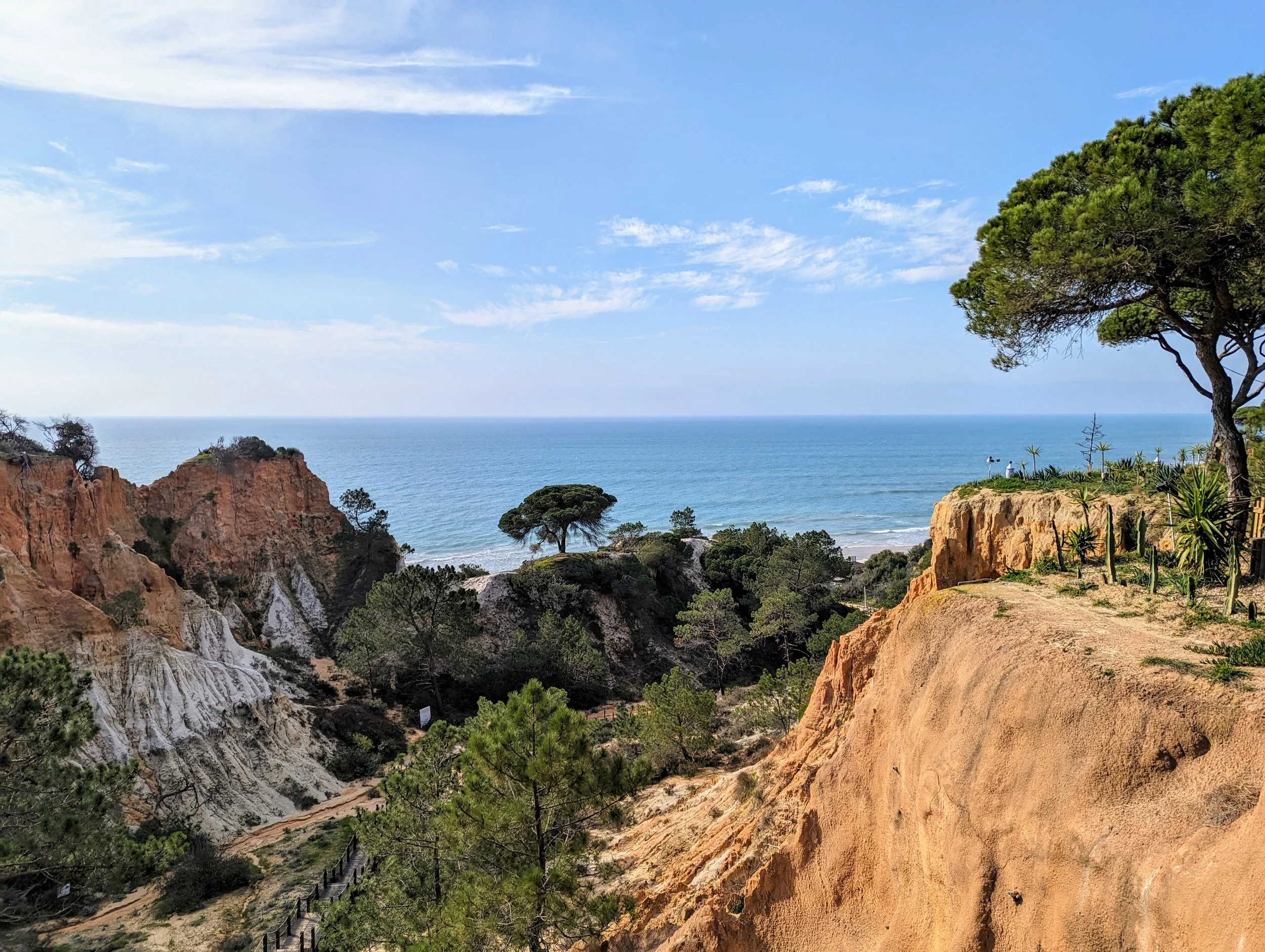 View of cliffs and rocky landscape overlooking the ocean with trees and a blue sky.