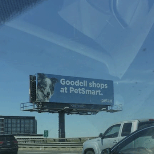 Goodell-O1.gif