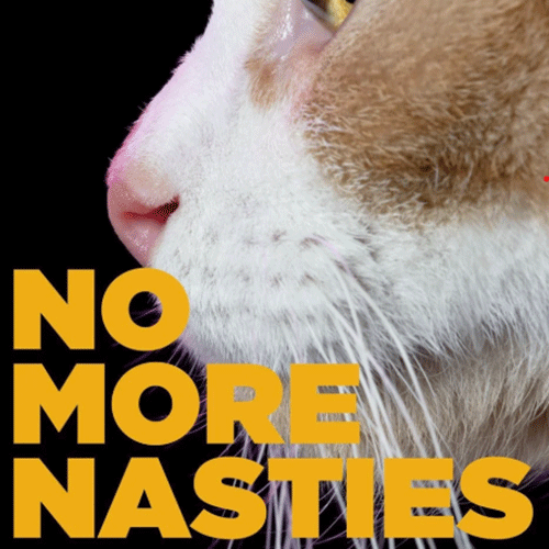 Petco-No-More-01.gif