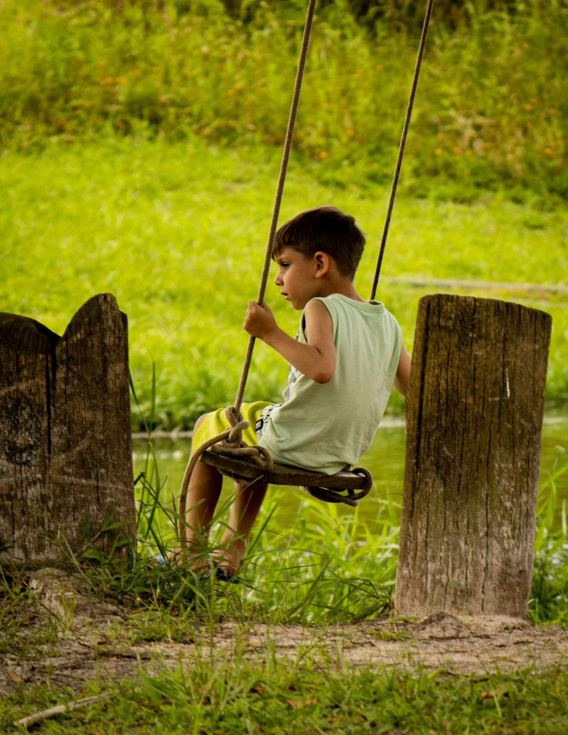 A young boy sitting on a wooden swing suspended by ropes between two tree stumps in a grassy area with green trees in the background.