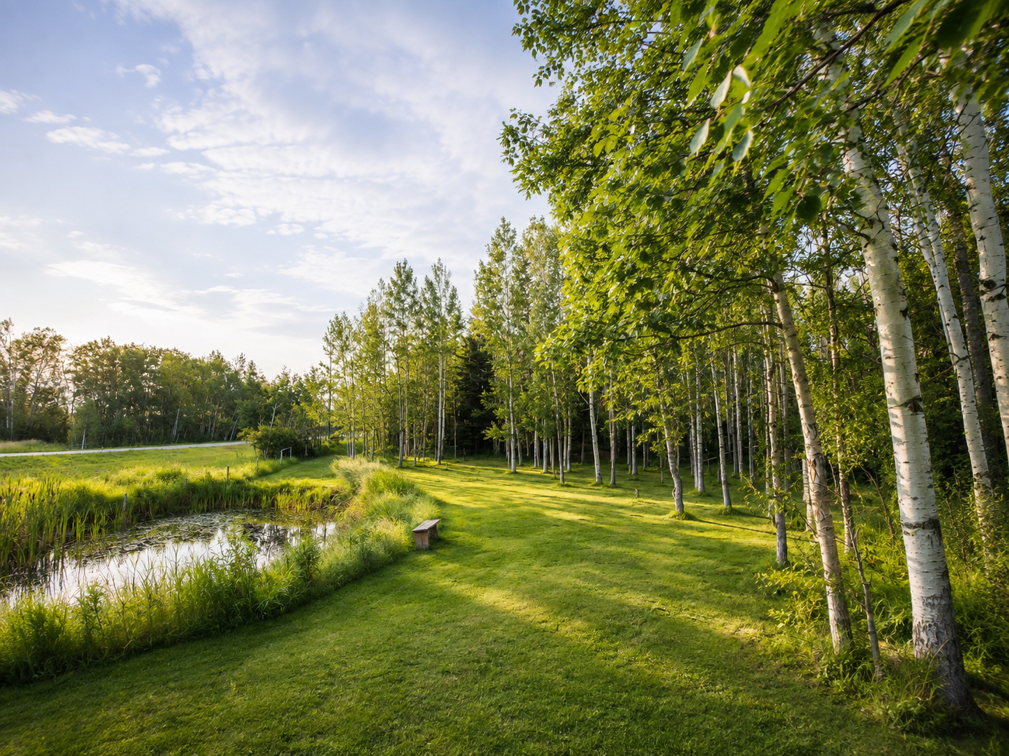 Pond area at Kirstyn Richards Physiotherapy in Bearspaw