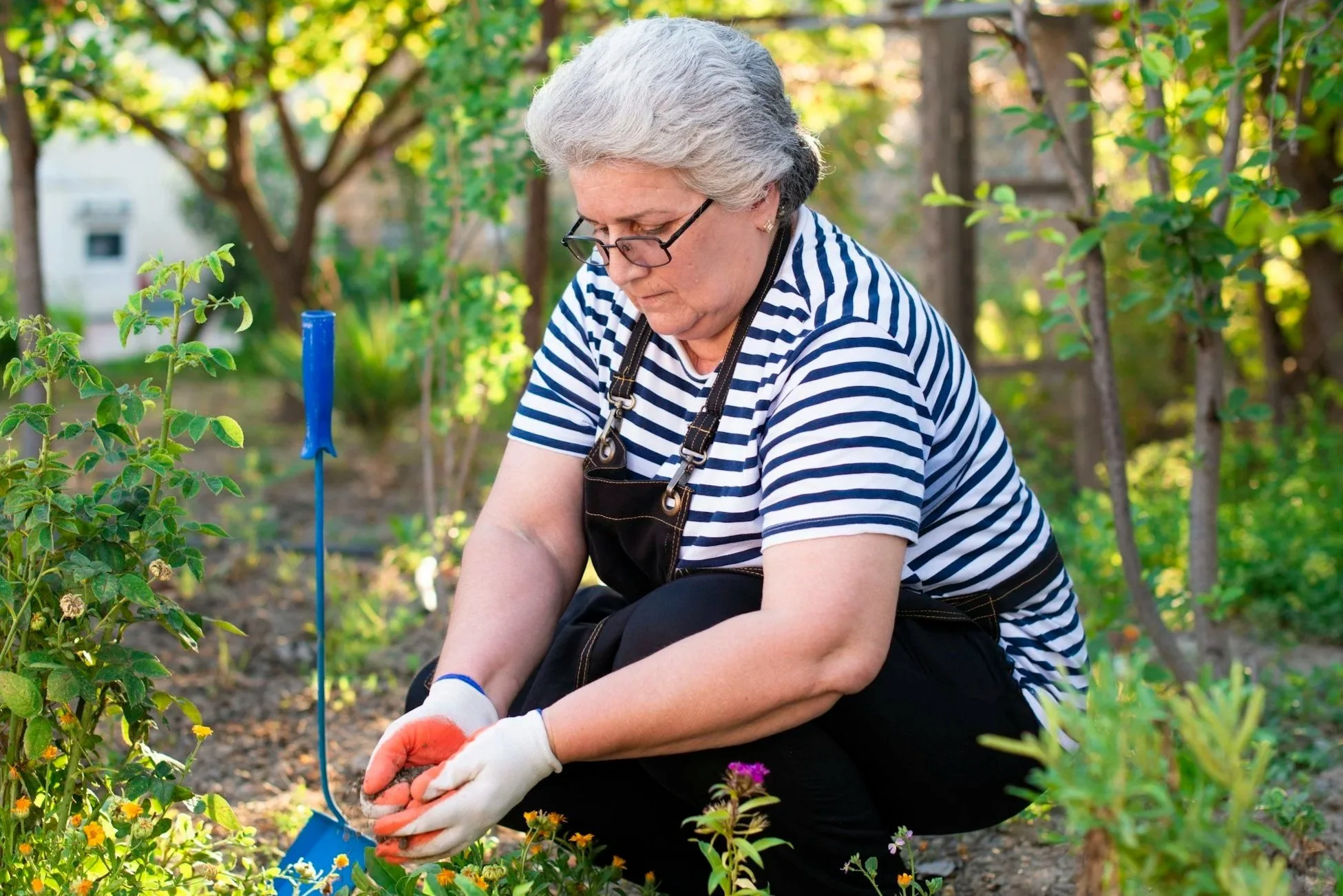 An elderly woman with gray hair, glasses, and a black apron, gardening in a lush green garden during daytime. She is kneeling, wearing gardening gloves, and placing flowers in the soil, with trees and shrubs around her.