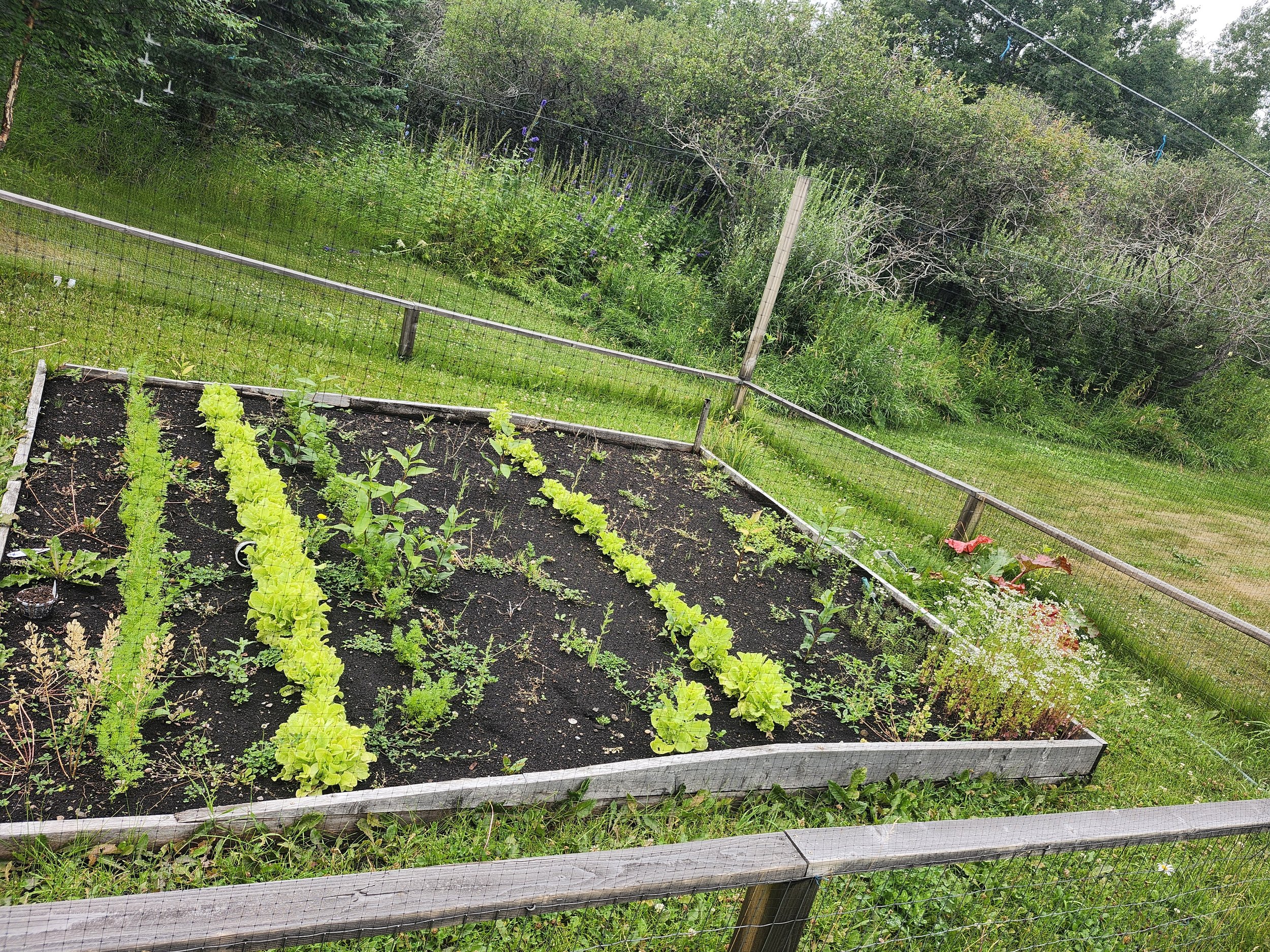 Garden at Kirstyn Richards Physiotherapy in Bearspaw, Alberta