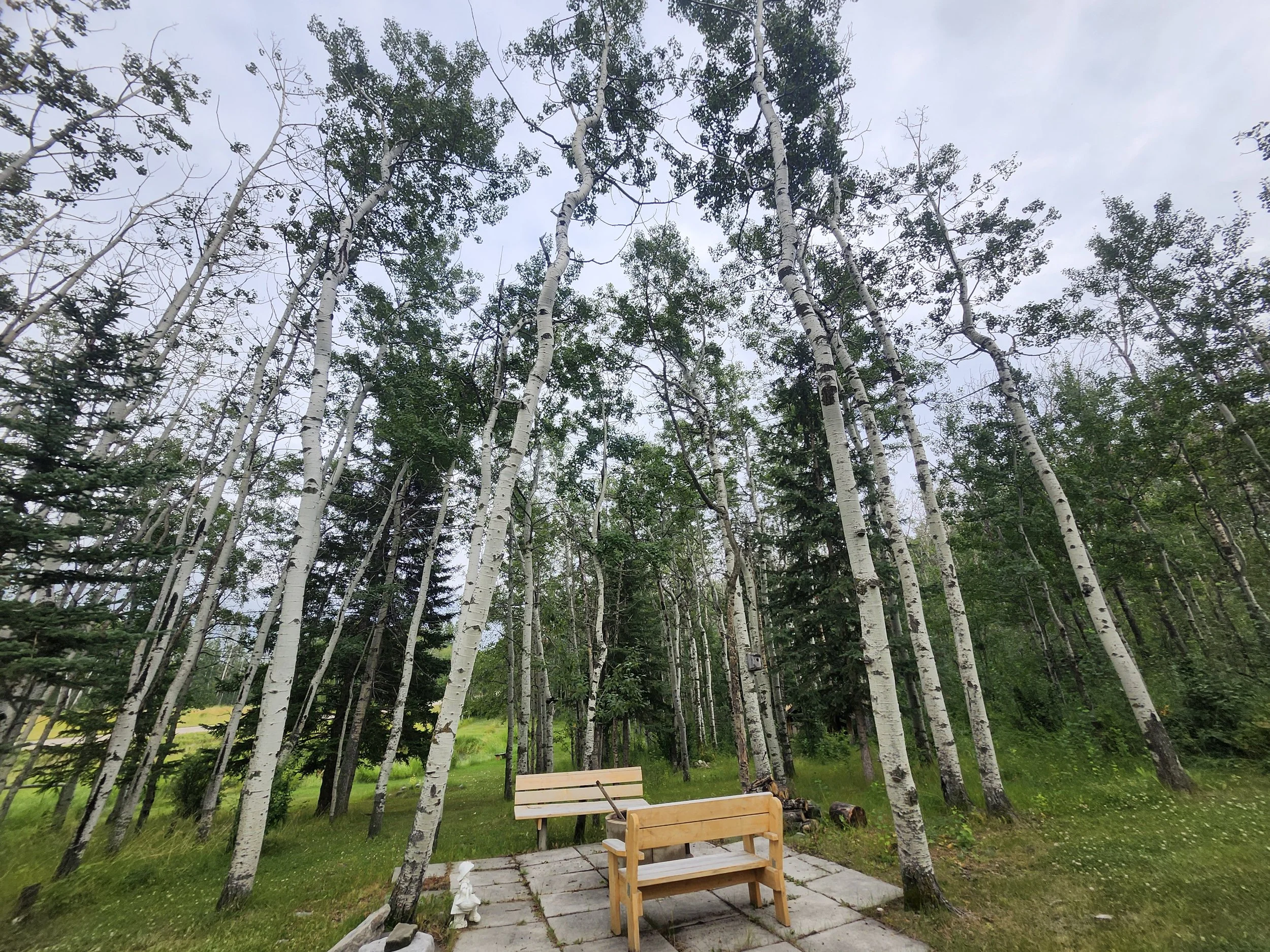 Firepit area at Kirstyn Richards Physiotherapy in Bearspaw, Alberta