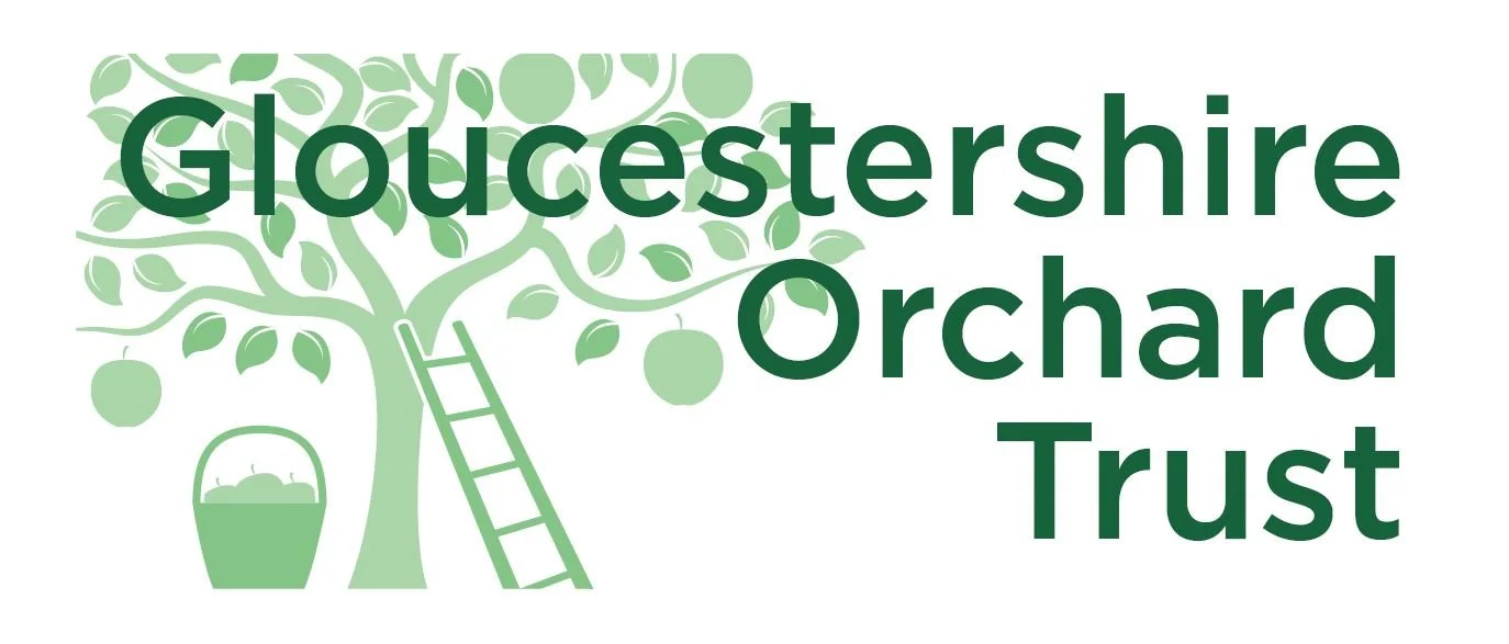 Logo for Gloucestershire Orchard Trust featuring a green apple tree with a ladder, a bucket of apples, and the organization's name in green text.