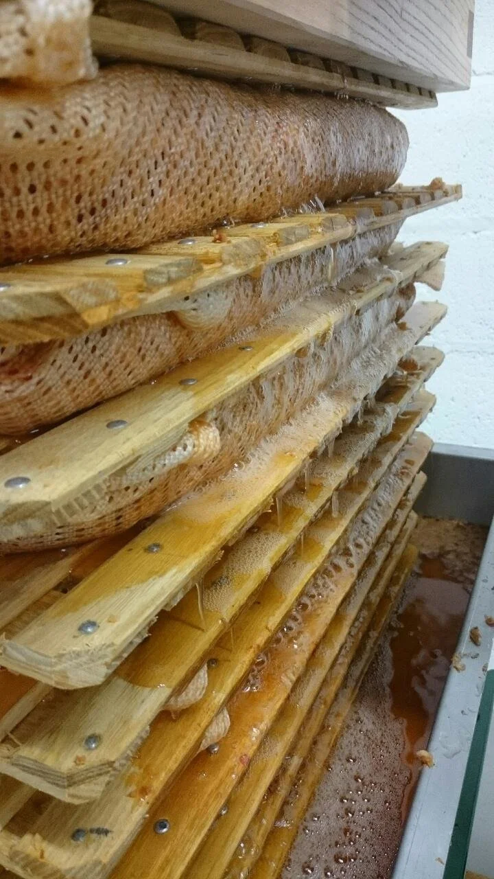 Close-up of stacked honeycomb frames from a beehive with honey and beeswax.