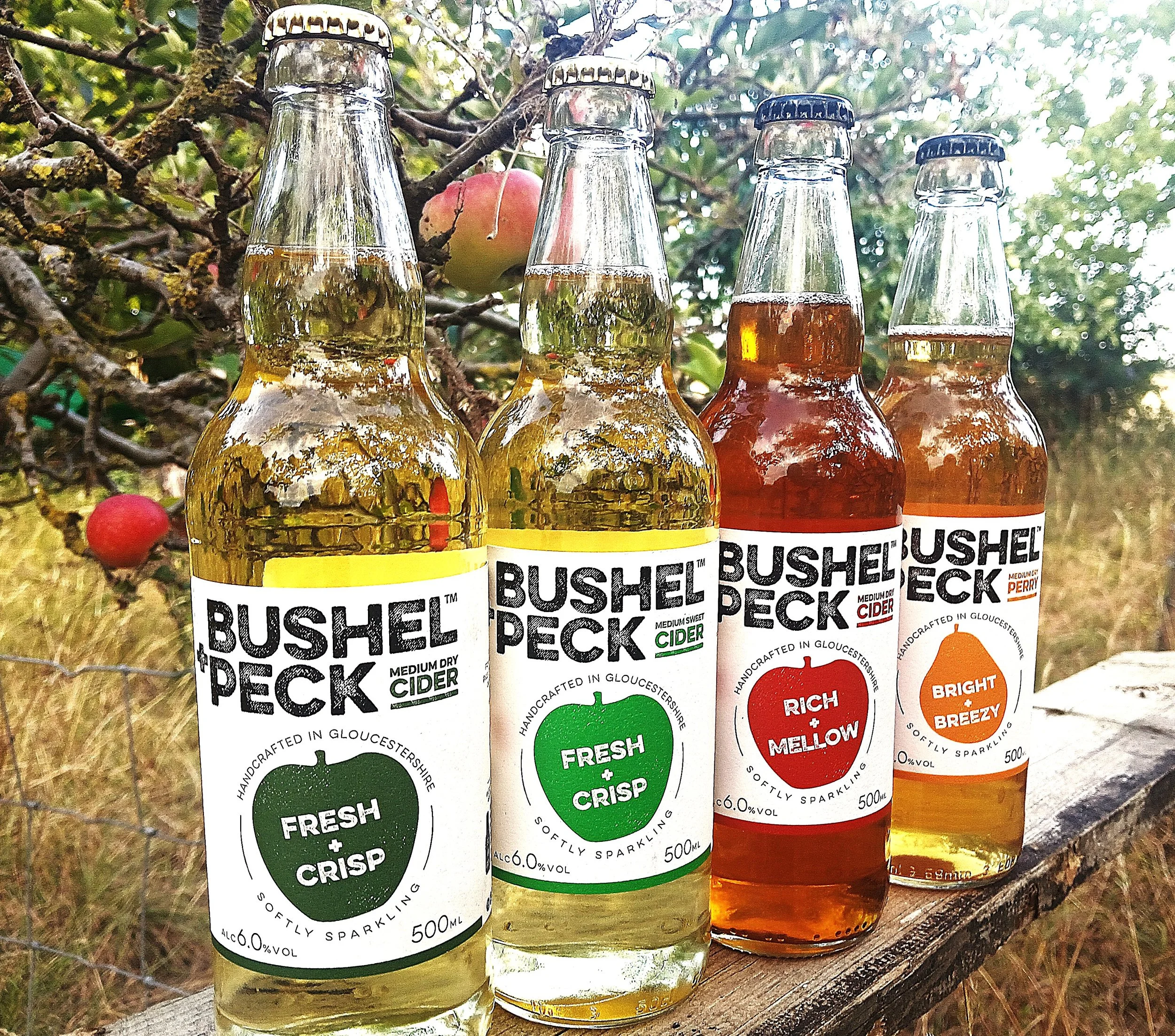 Four glass bottles of Bushnell pear cider resting on a wooden surface outdoors with a backdrop of green trees and sunlight, featuring labels displaying various flavor descriptions such as 'Fresh & Crisp', 'Rich & Mellow', and 'Bright & Breezy'.