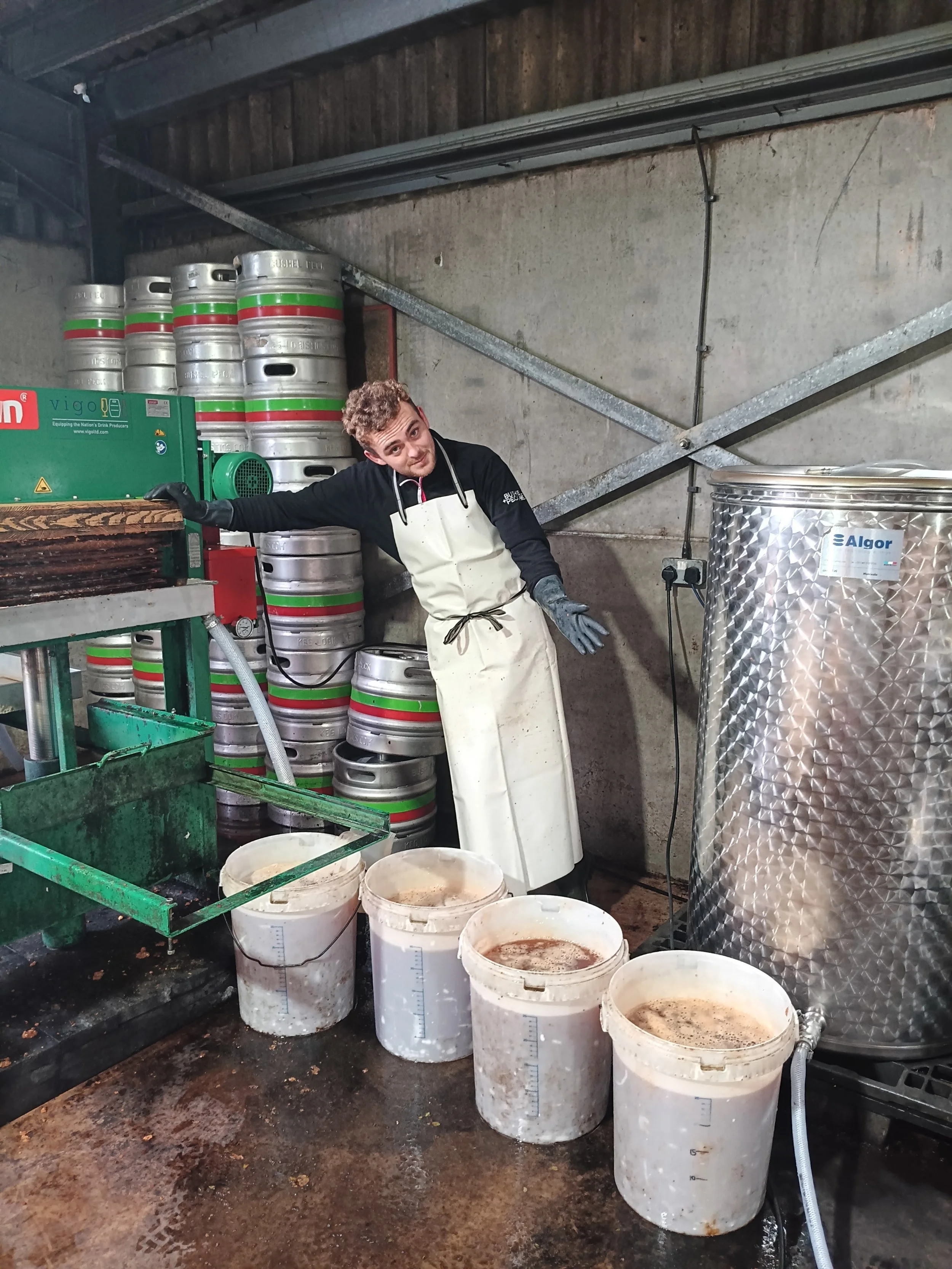 Freshly pressed apple juice from unsprayed apples - a record!
