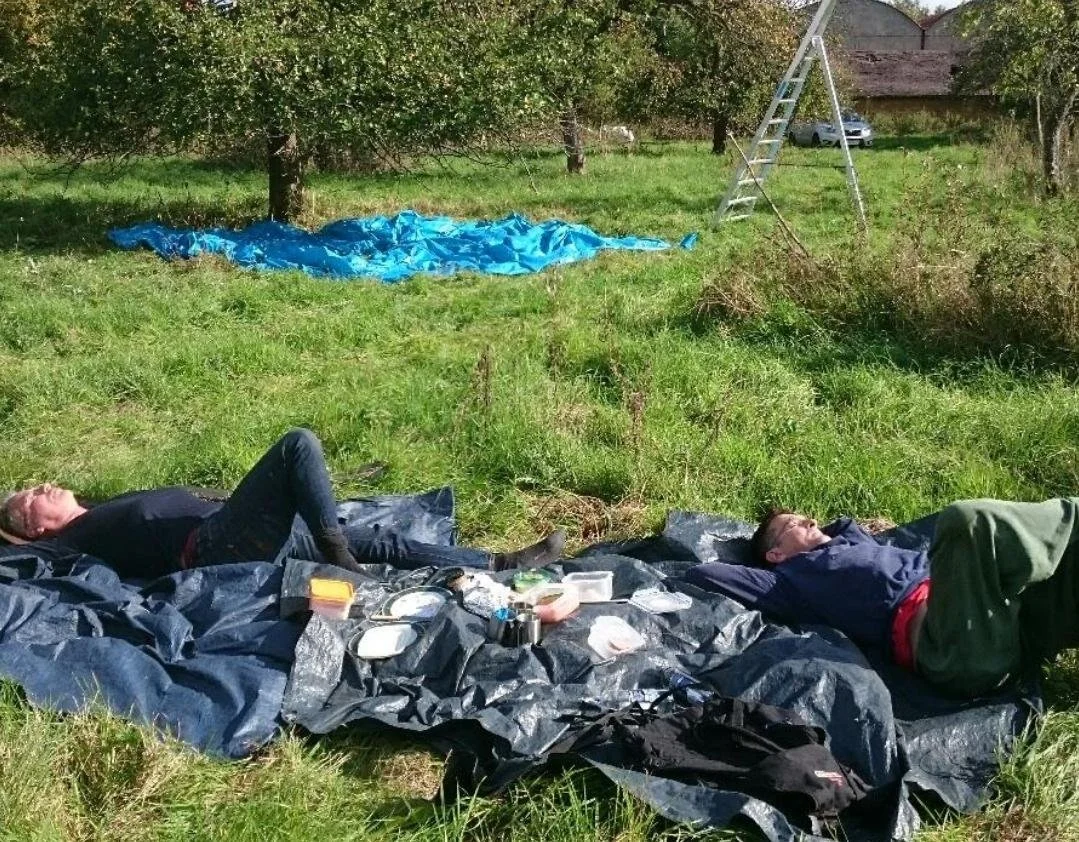 Longstanding friends helping with the harvest, showing the true value of productive British workers.