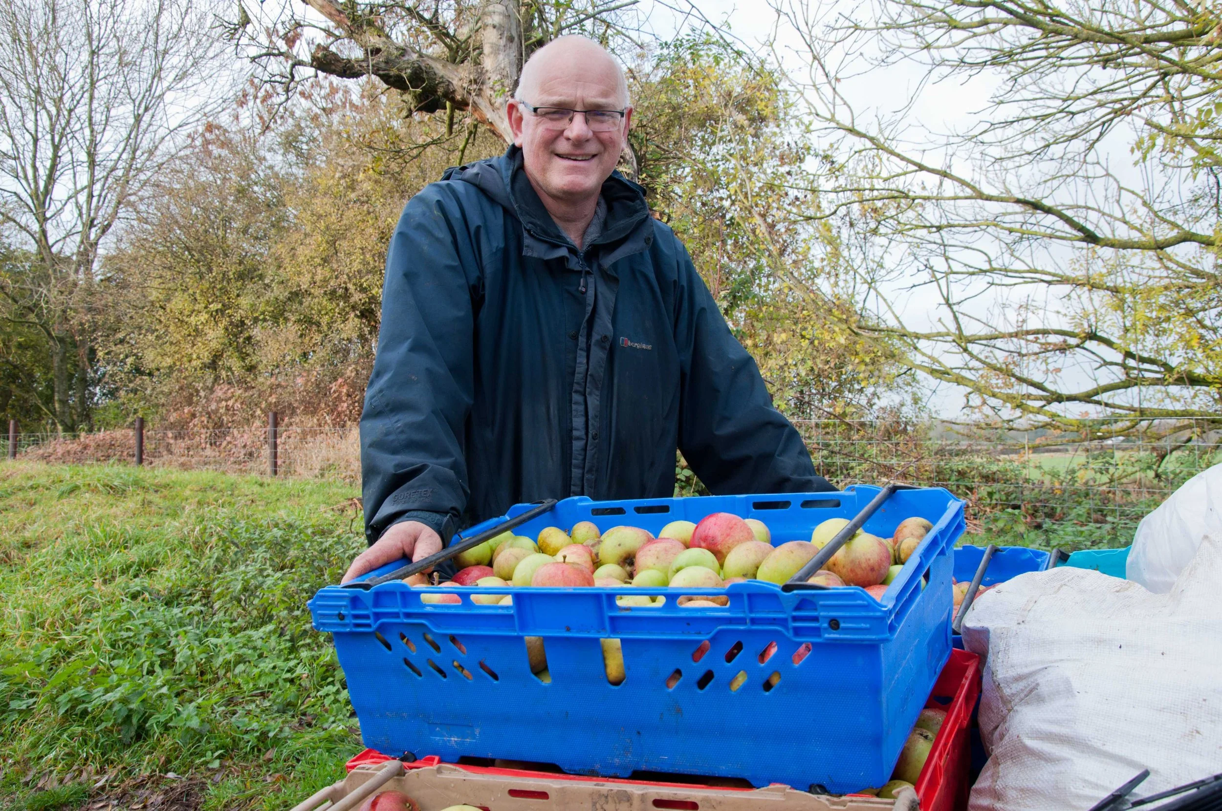 A smiling man with glasses and a dark rain jacket standing outdoors in a field with trees and a fence, holding a blue crate filled with apples.