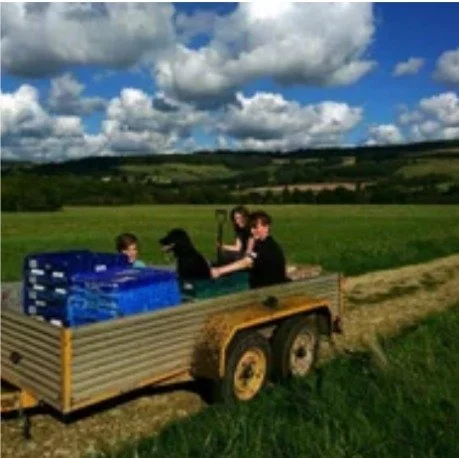Three children and a black dog in a trailer attached to a tractor in a grassy field with clouds in the sky.