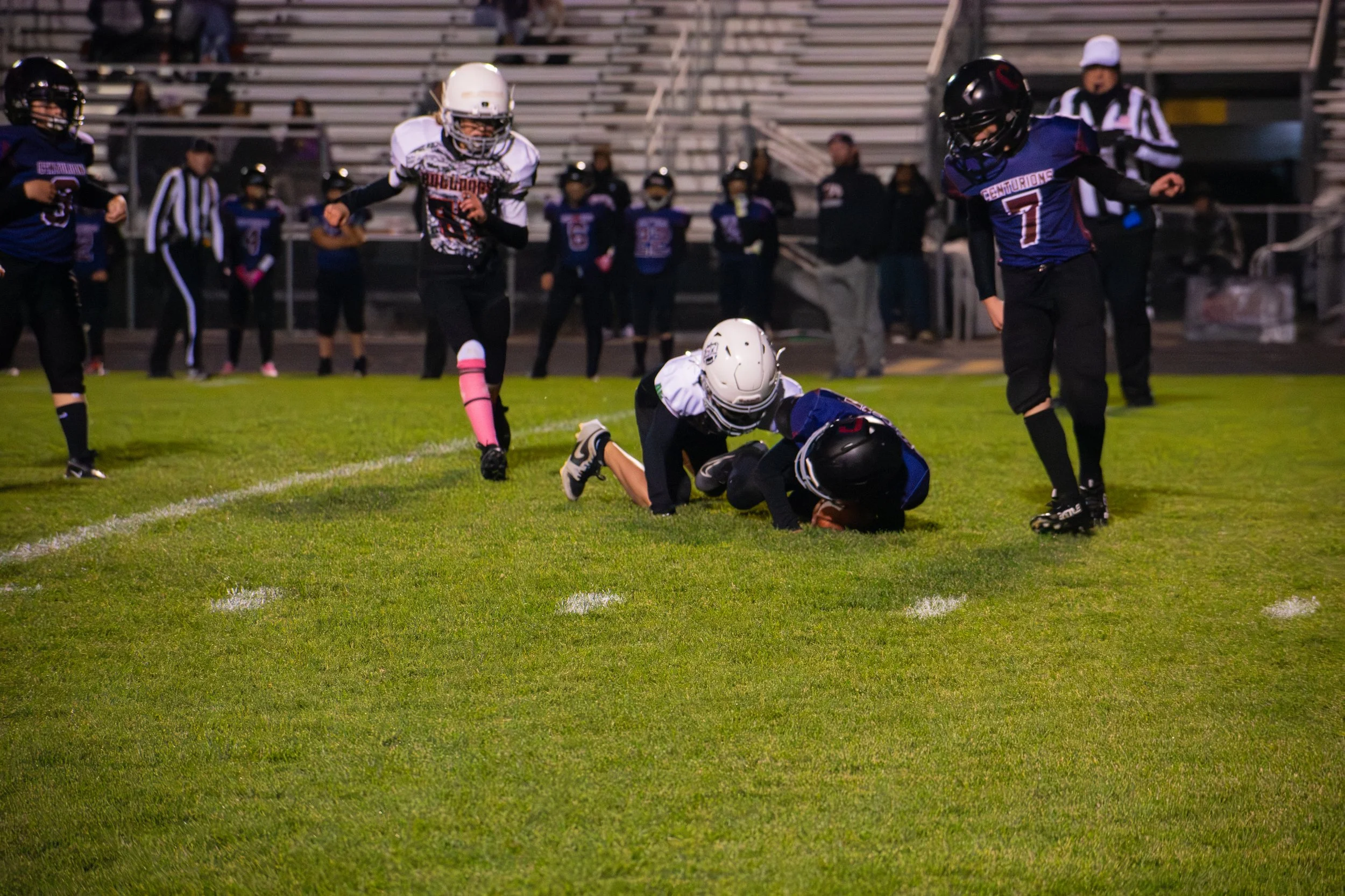 Bulldogs-16.jpg