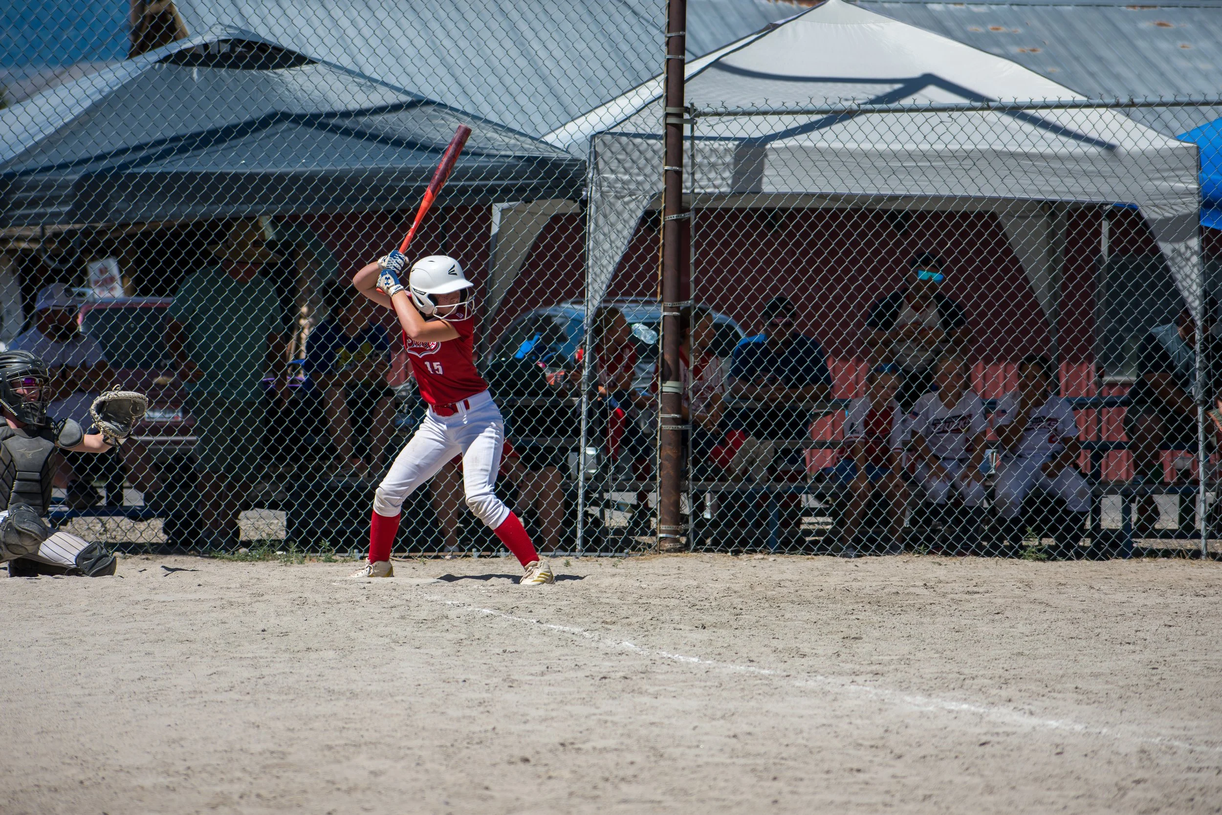 DSC_0704.jpg