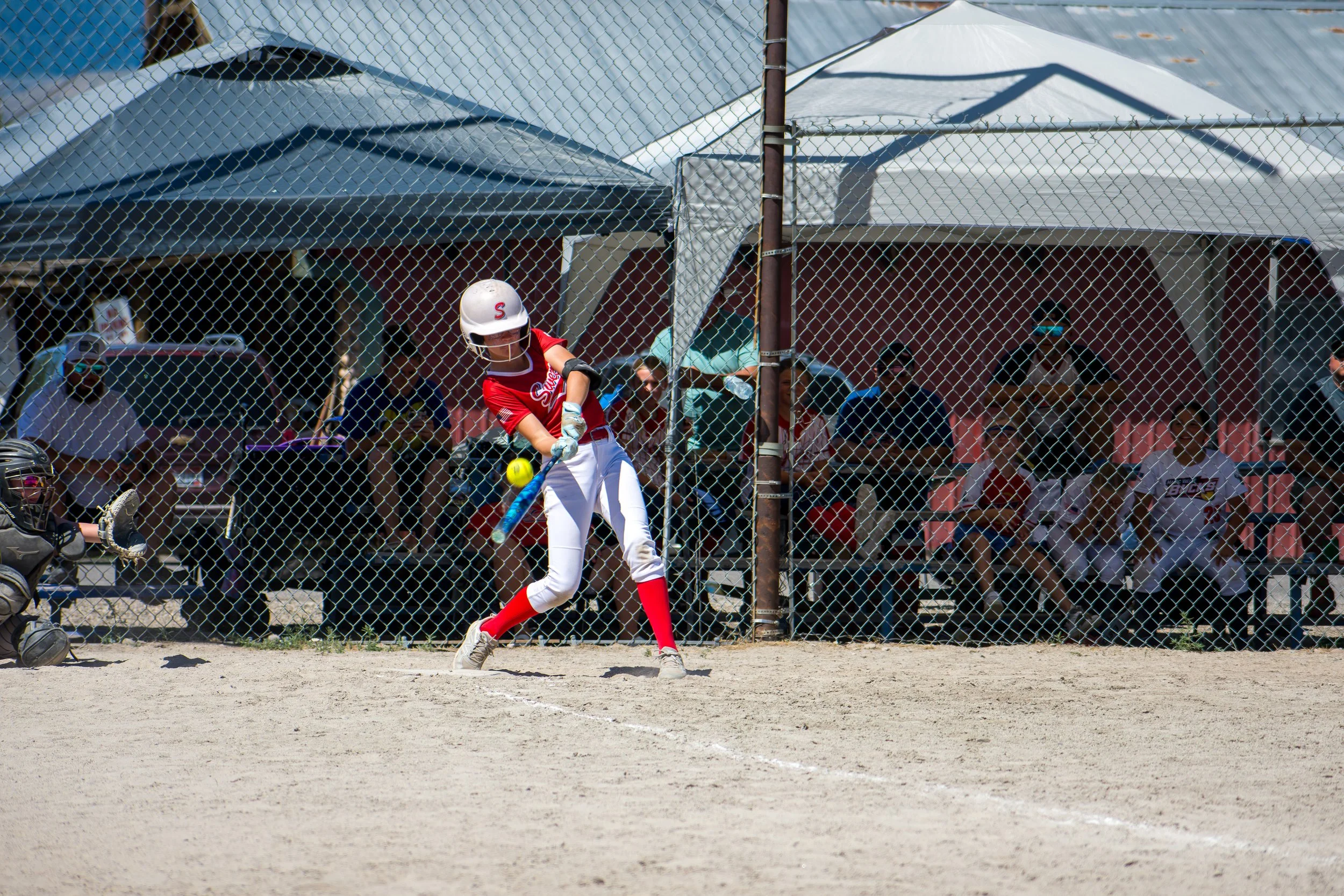DSC_0676.jpg