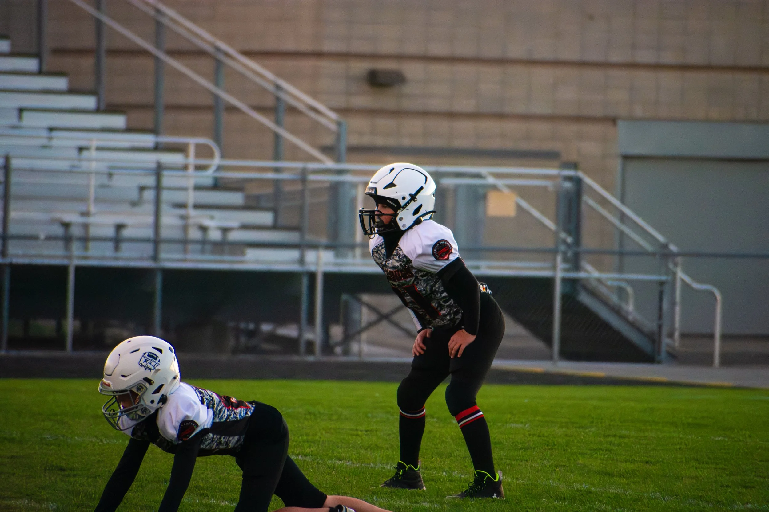 Bulldogs-02.jpg