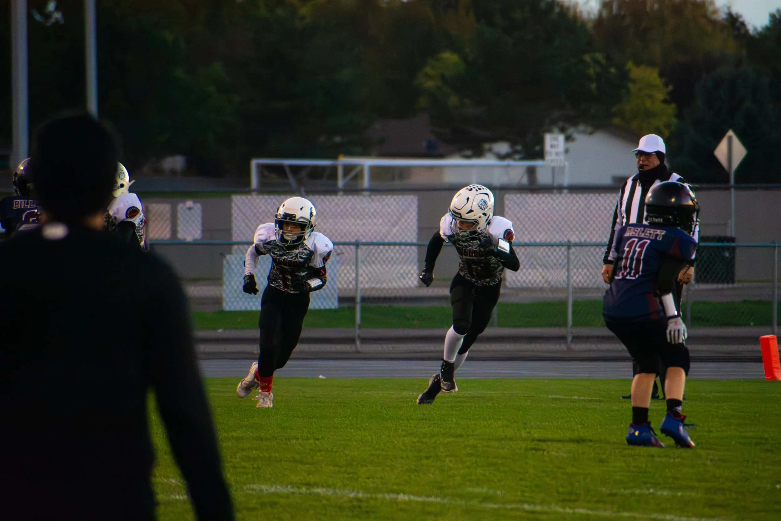 Bulldogs-03.jpg