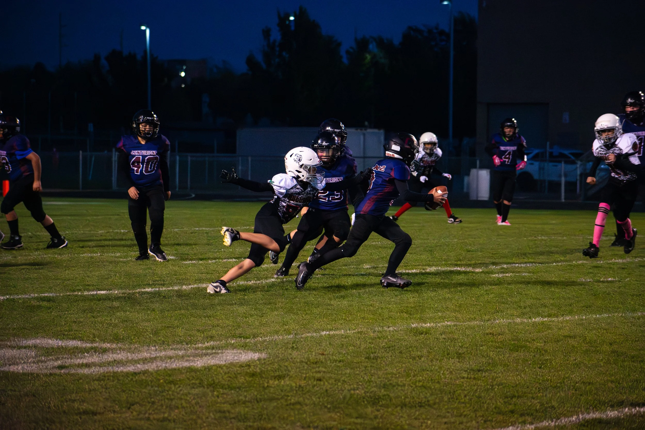 Bulldogs-06.jpg