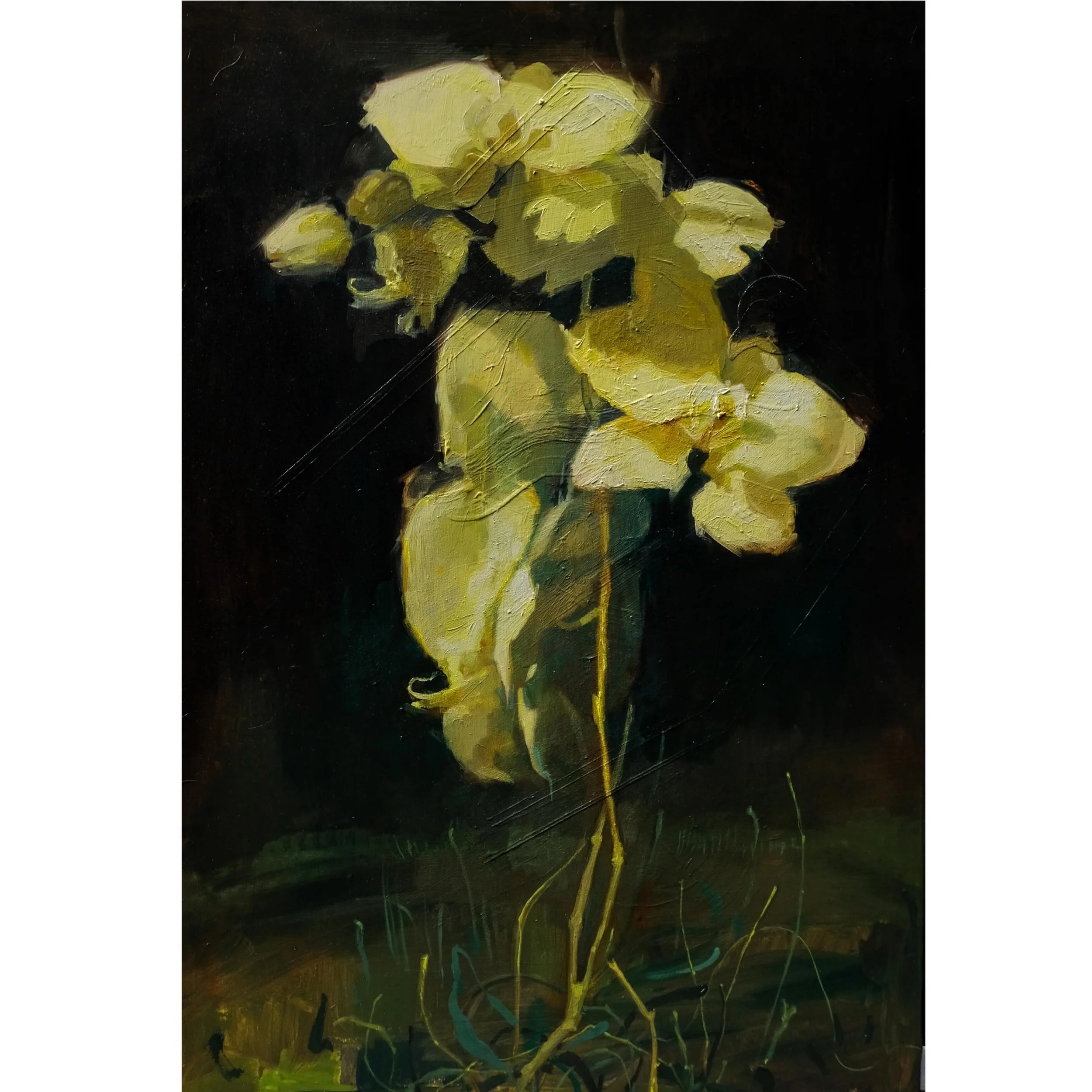 Orchid
16&rdquo;x24&rdquo; 
Oil on wood