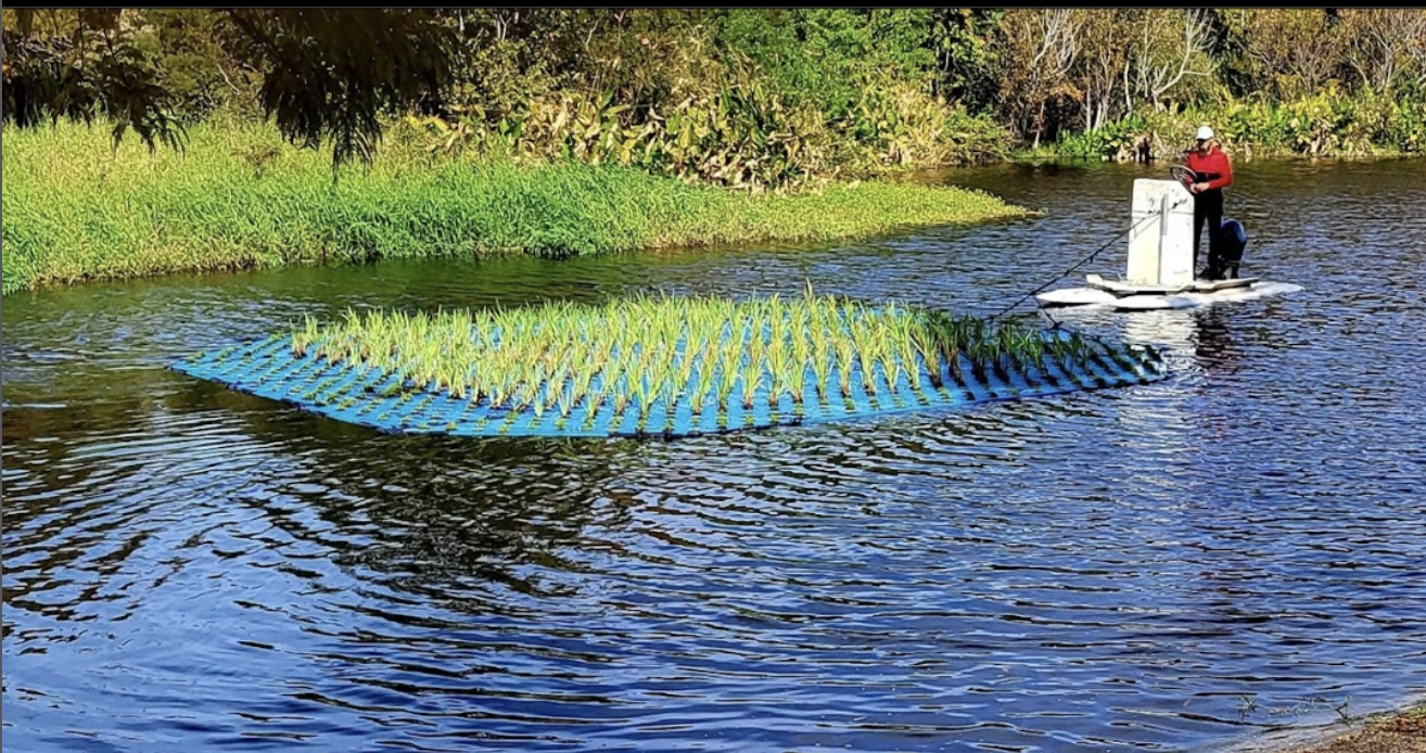 (from: Floating Treatment Wetland Aided Remediation of Nitrogen and Phosphorus...)