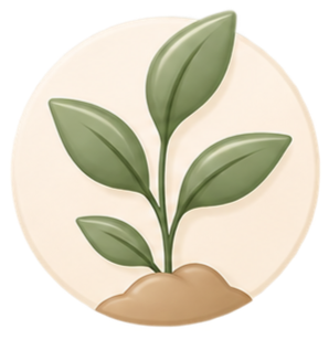 A small green plant with four leaves growing from a mound of soil.