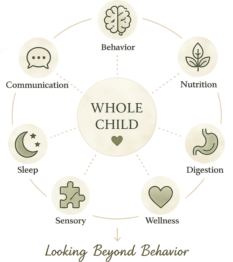 Diagram showing elements that contribute to the development of a whole child, including behavior, nutrition, digestion, wellness, sensory, sleep, communication, and learning beyond behavior, with icons representing each element.
