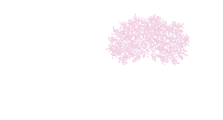 Cherry Tree Behavioral Health