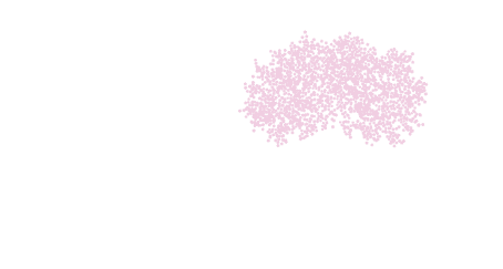 Cherry Tree Behavioral Health