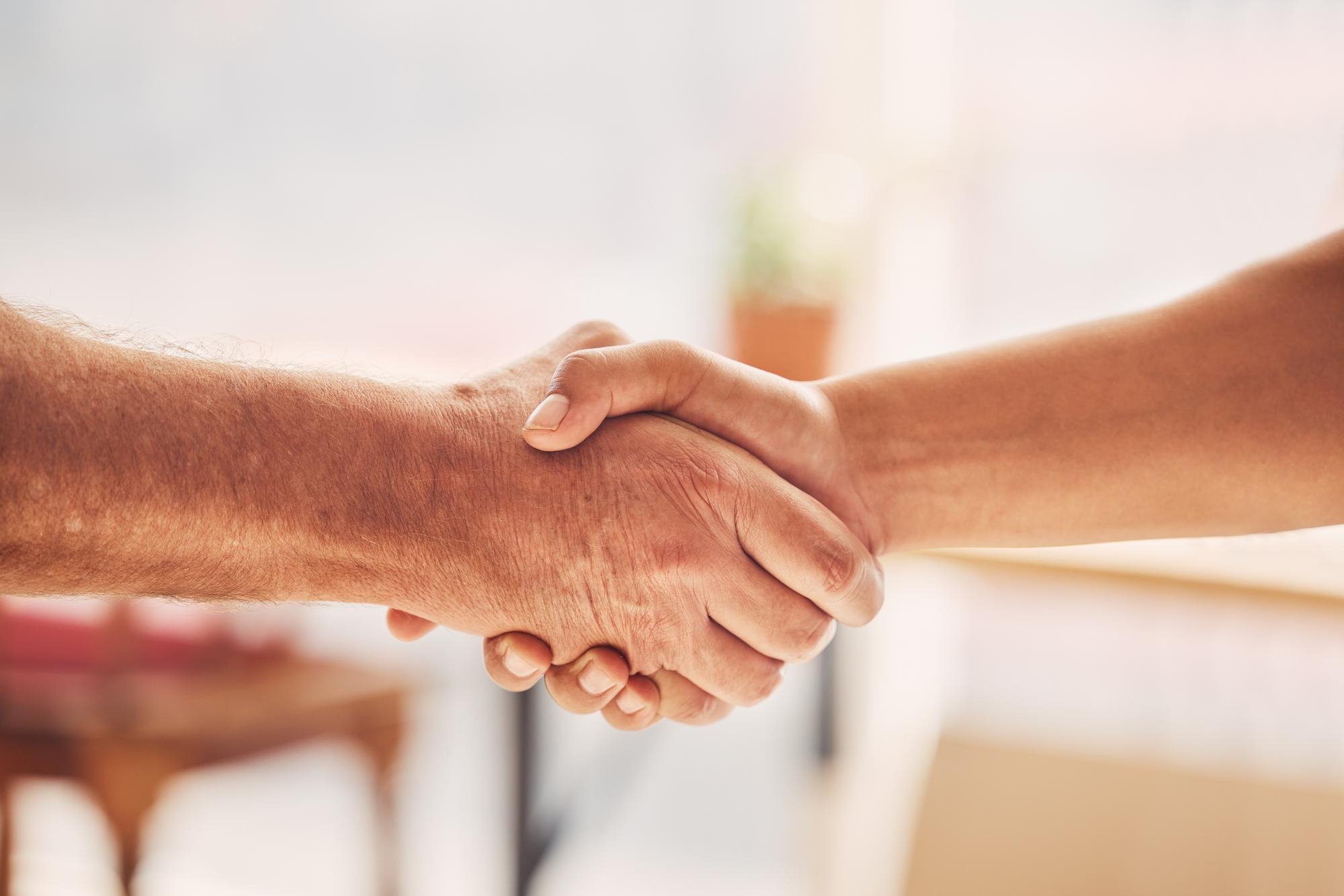 Two people shaking hands in a friendly manner indoors with a blurred background that includes a potted plant.