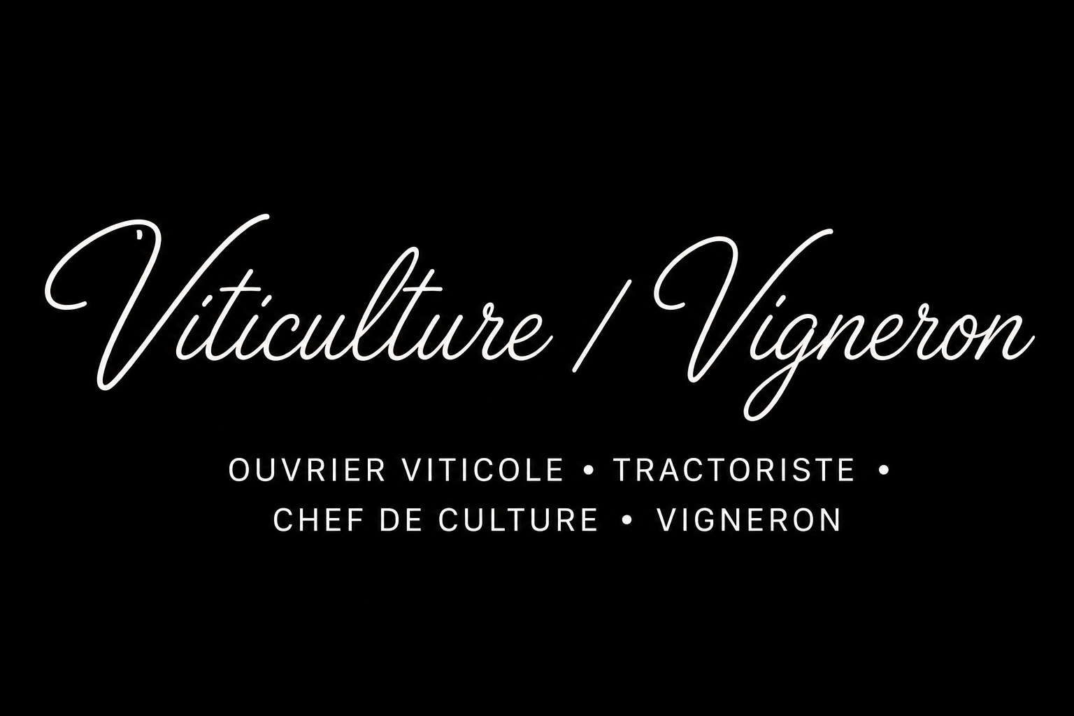 Accompagnement administratif des professionnels des vignerons : démarches professionnelles, droits, parcours et démarches du quotidien.