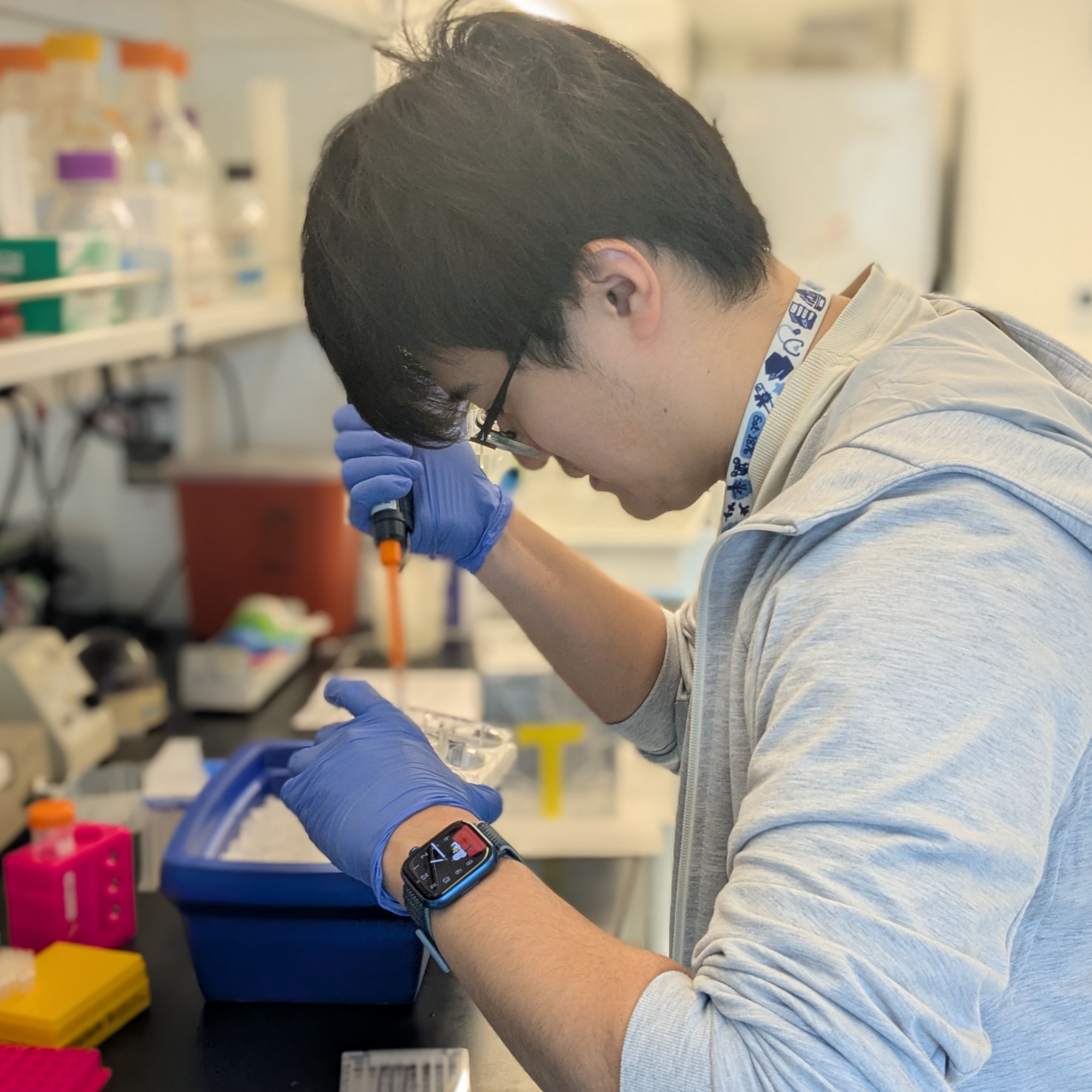 A scientist wearing glasses and a smartwatch is working in a laboratory, looking into a microscope with blue gloves on. There are shelves with laboratory supplies and colorful containers in the background.